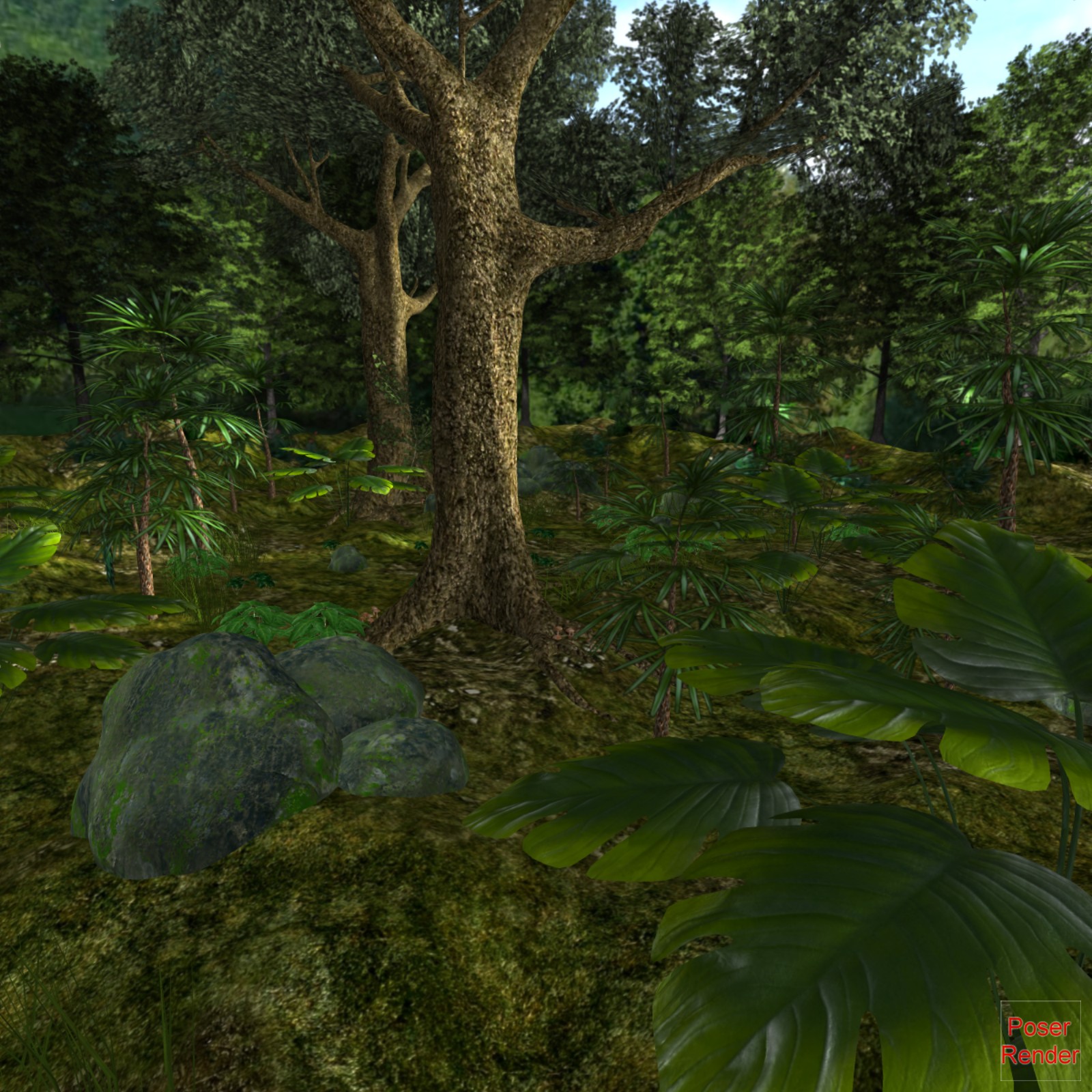 The Fantastic Forest Poser by N/A