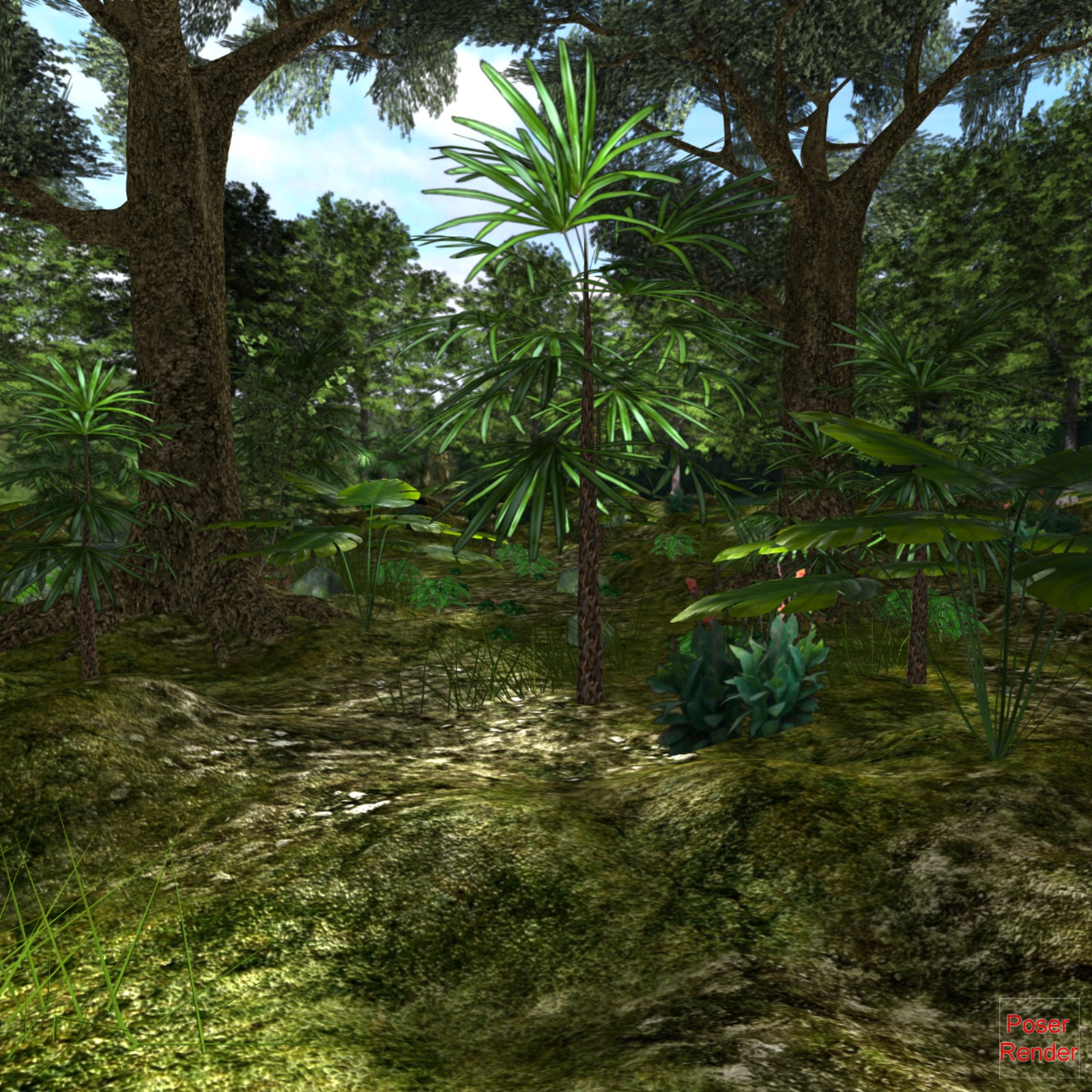 The Fantastic Forest Poser by N/A