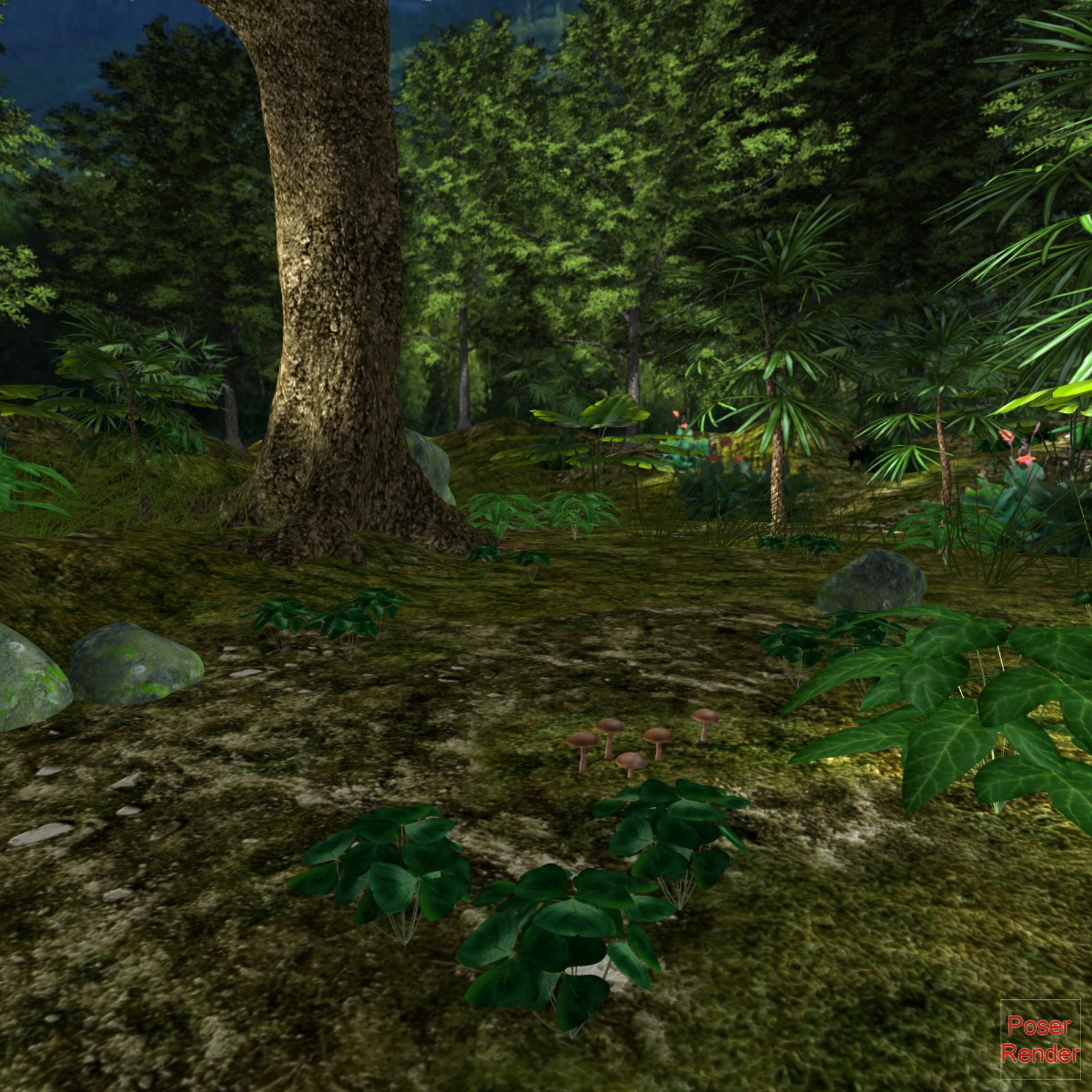 The Fantastic Forest Poser by N/A