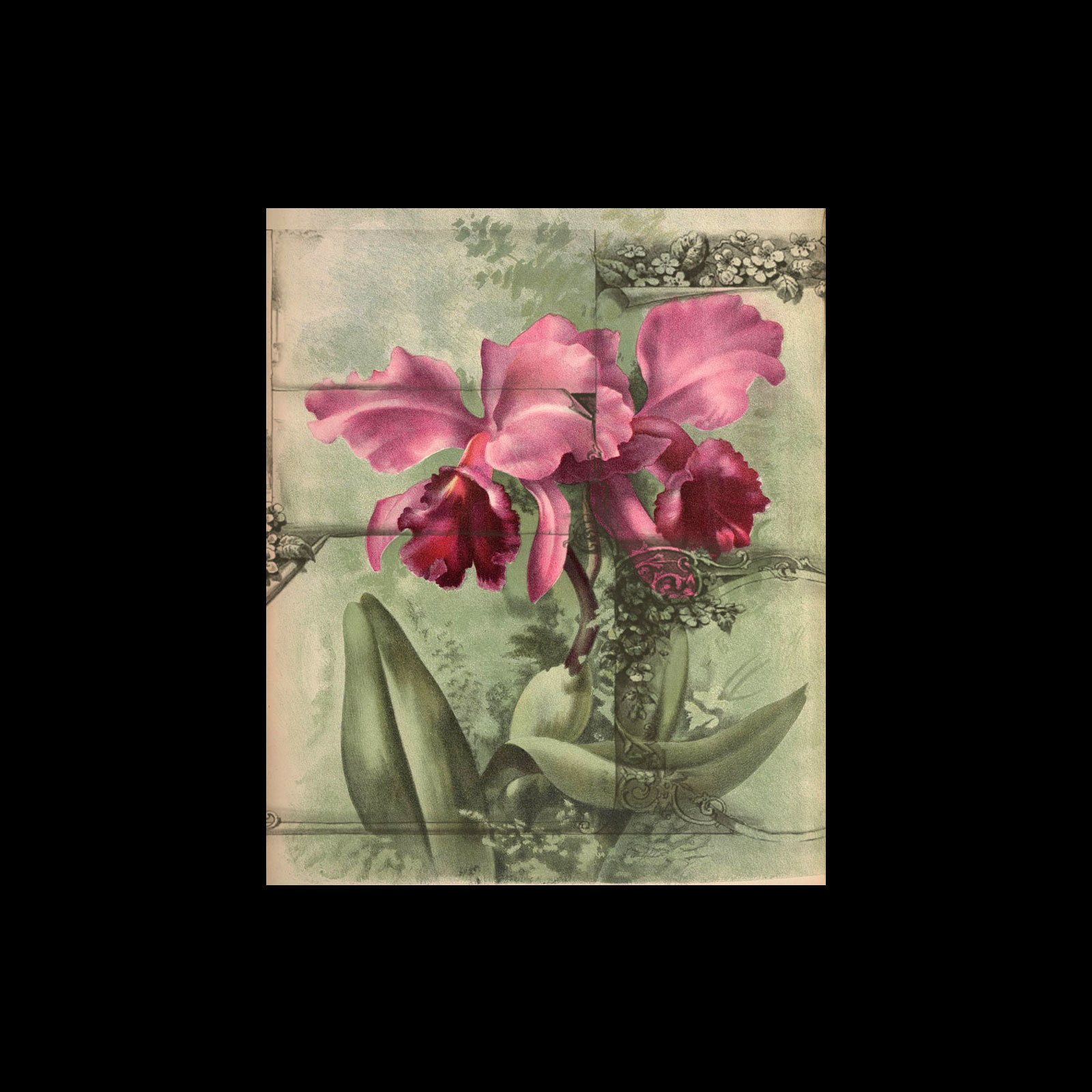 Old Book Sketched Frames PS Brushes by N/A