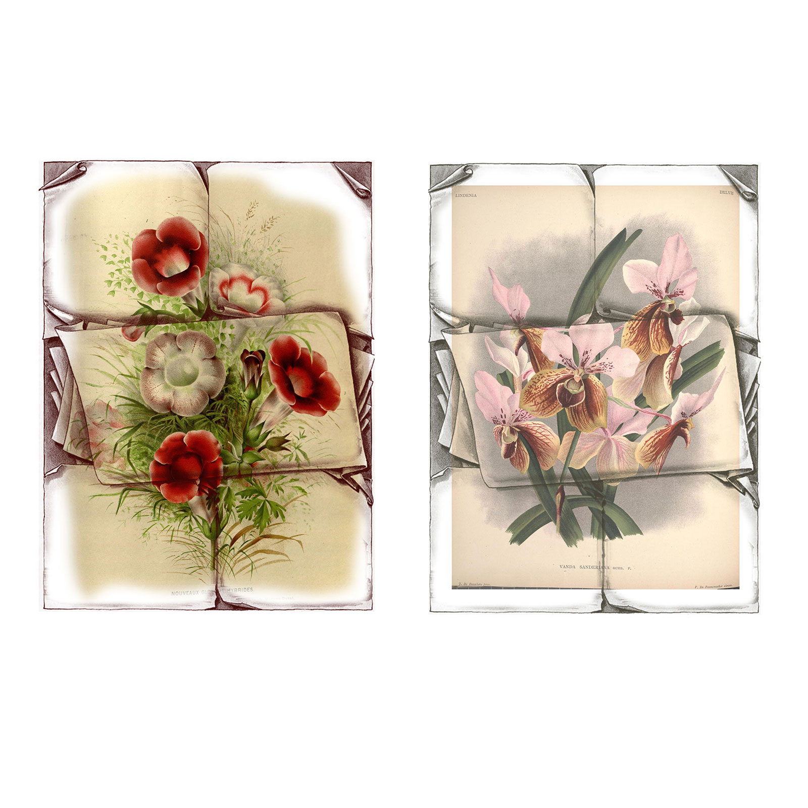 Old Book Sketched Frames PS Brushes by N/A
