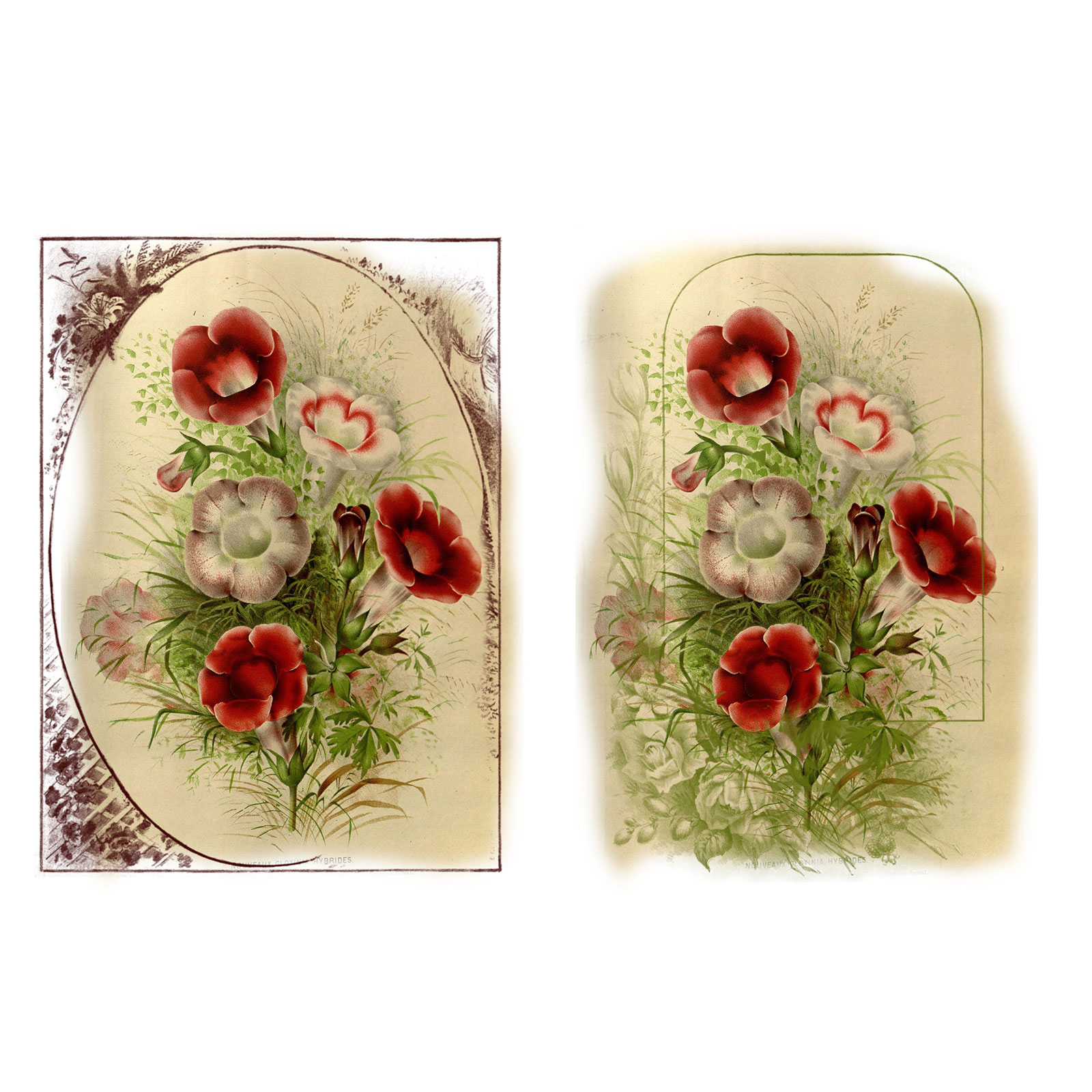 Old Book Sketched Frames PS Brushes by N/A