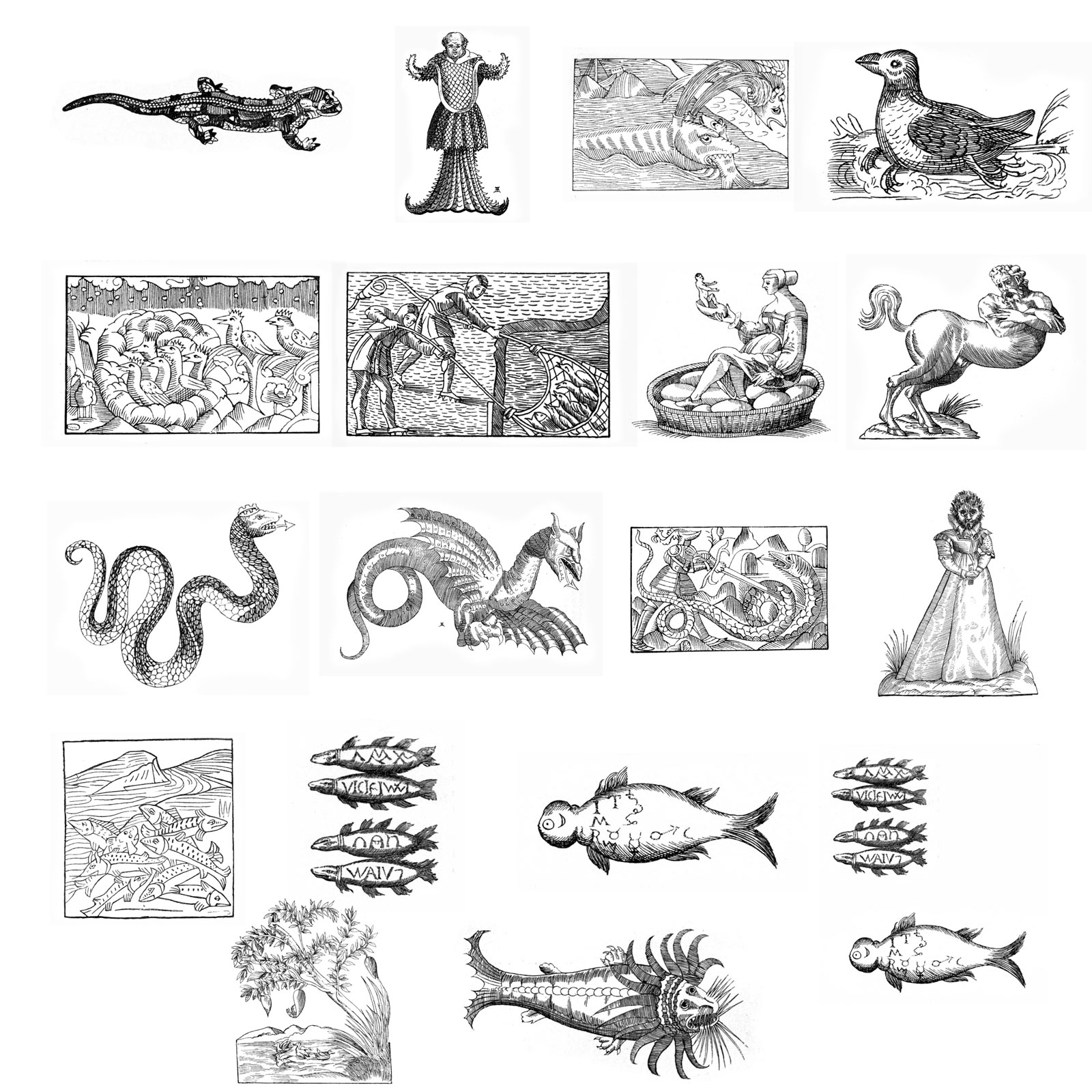 Monster Pack 1 by N/A