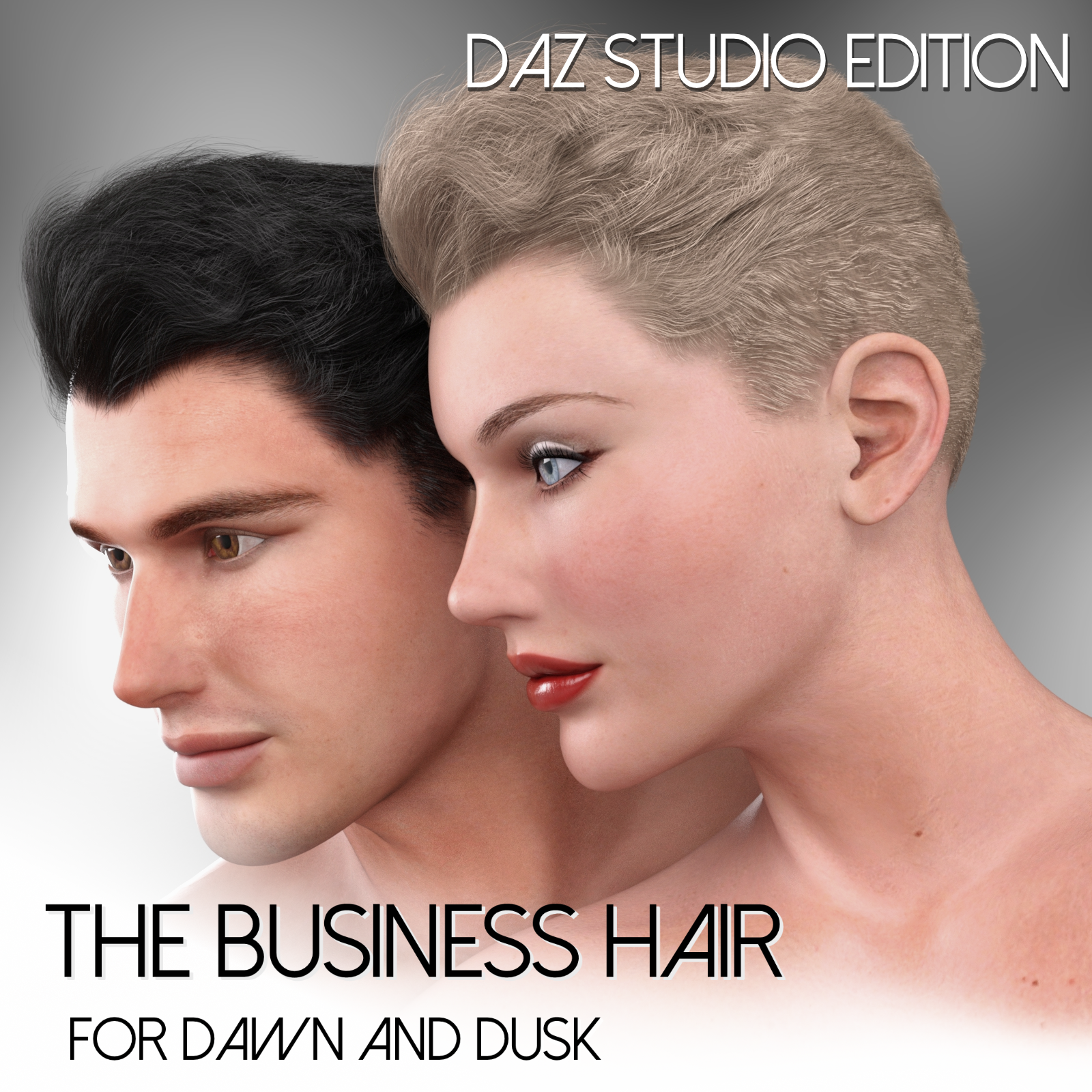 The Business Hair for Dawn and Dusk -Daz Studio Edition by N/A
