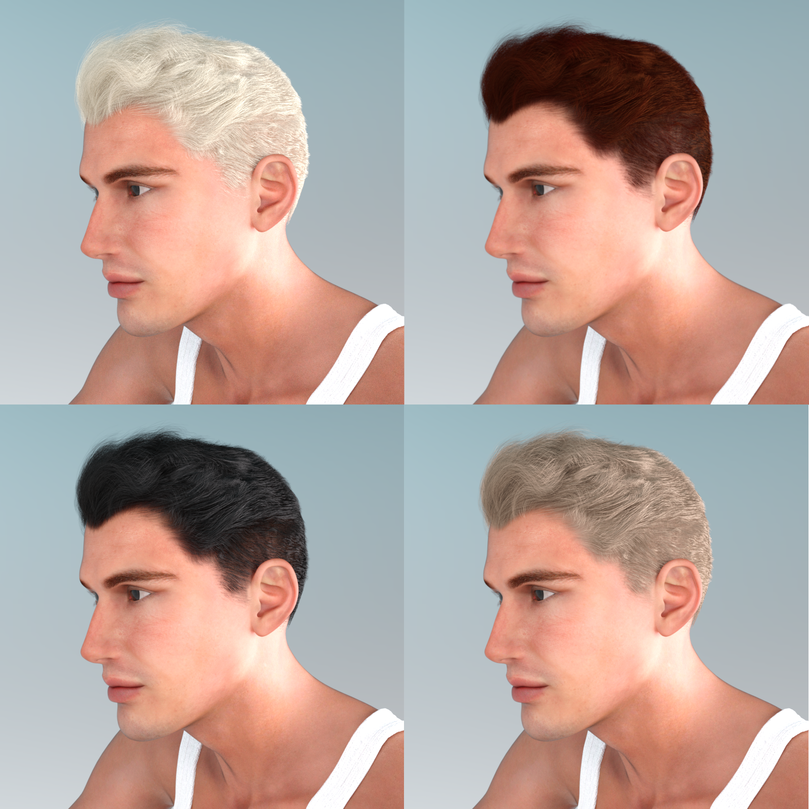 The Business Hair for Dawn and Dusk -Daz Studio Edition by N/A