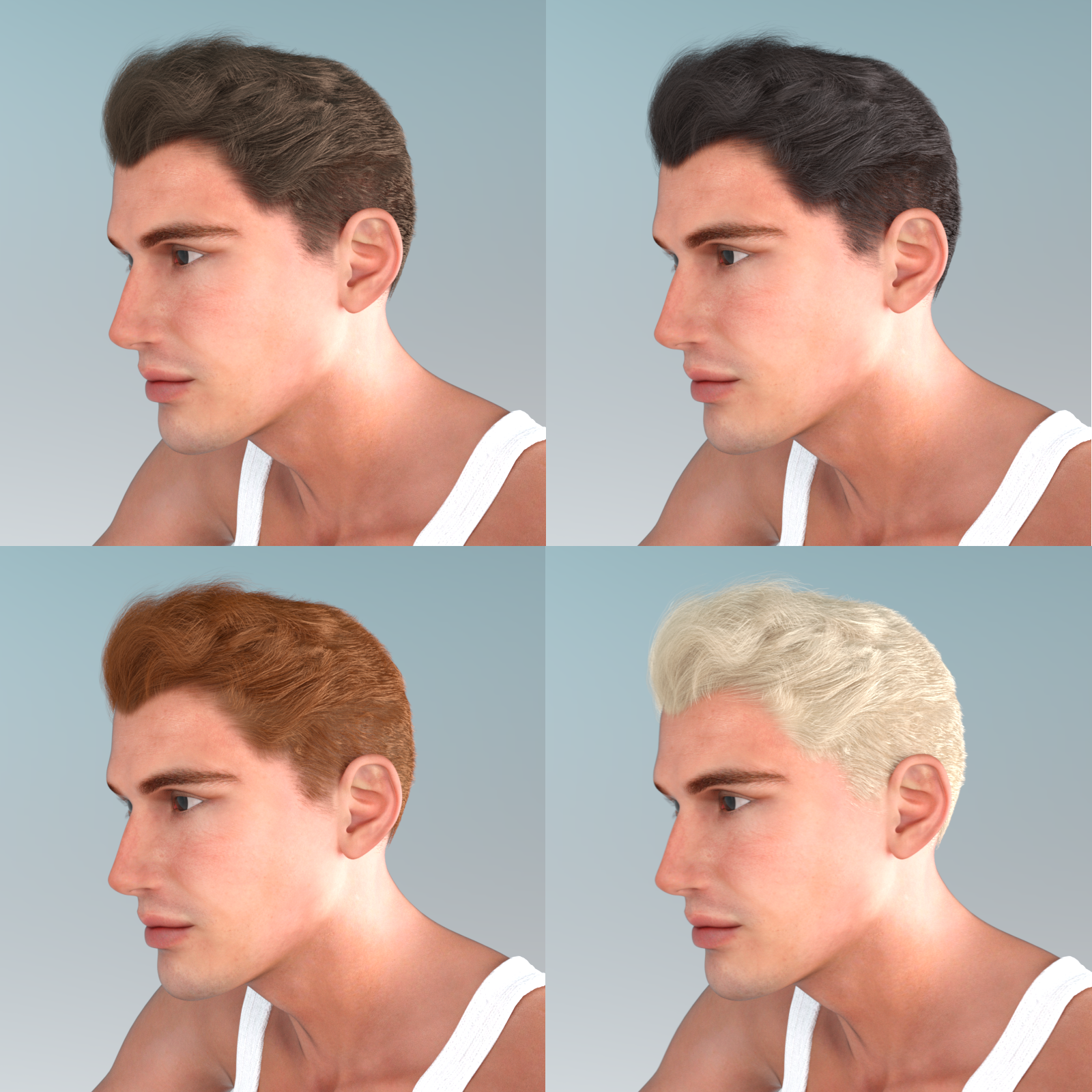The Business Hair for Dawn and Dusk -Daz Studio Edition by N/A