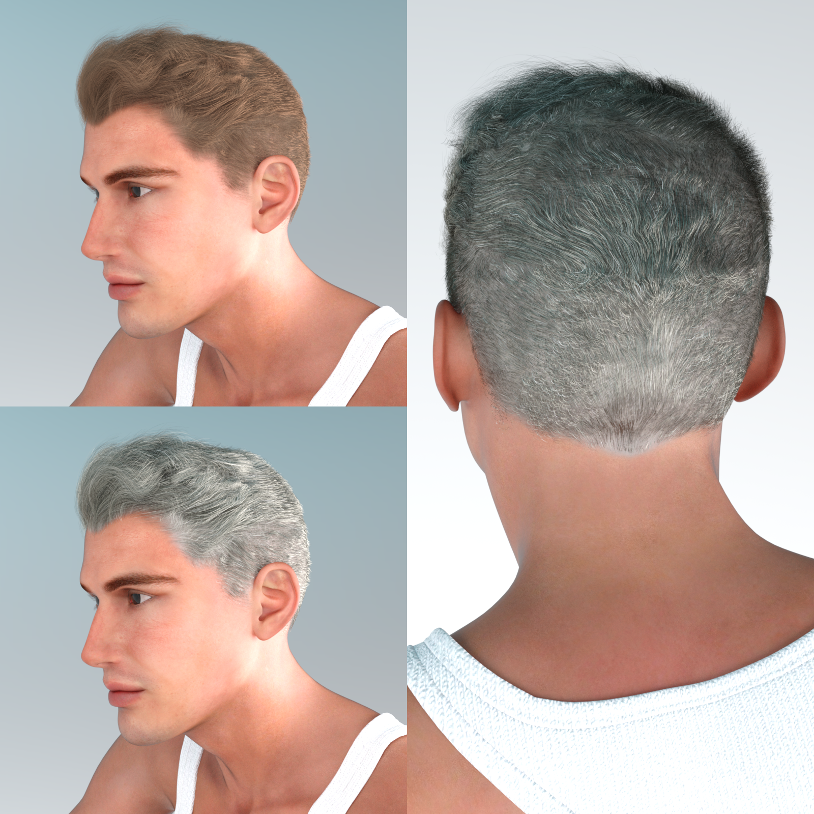 The Business Hair for Dawn and Dusk -Daz Studio Edition by N/A