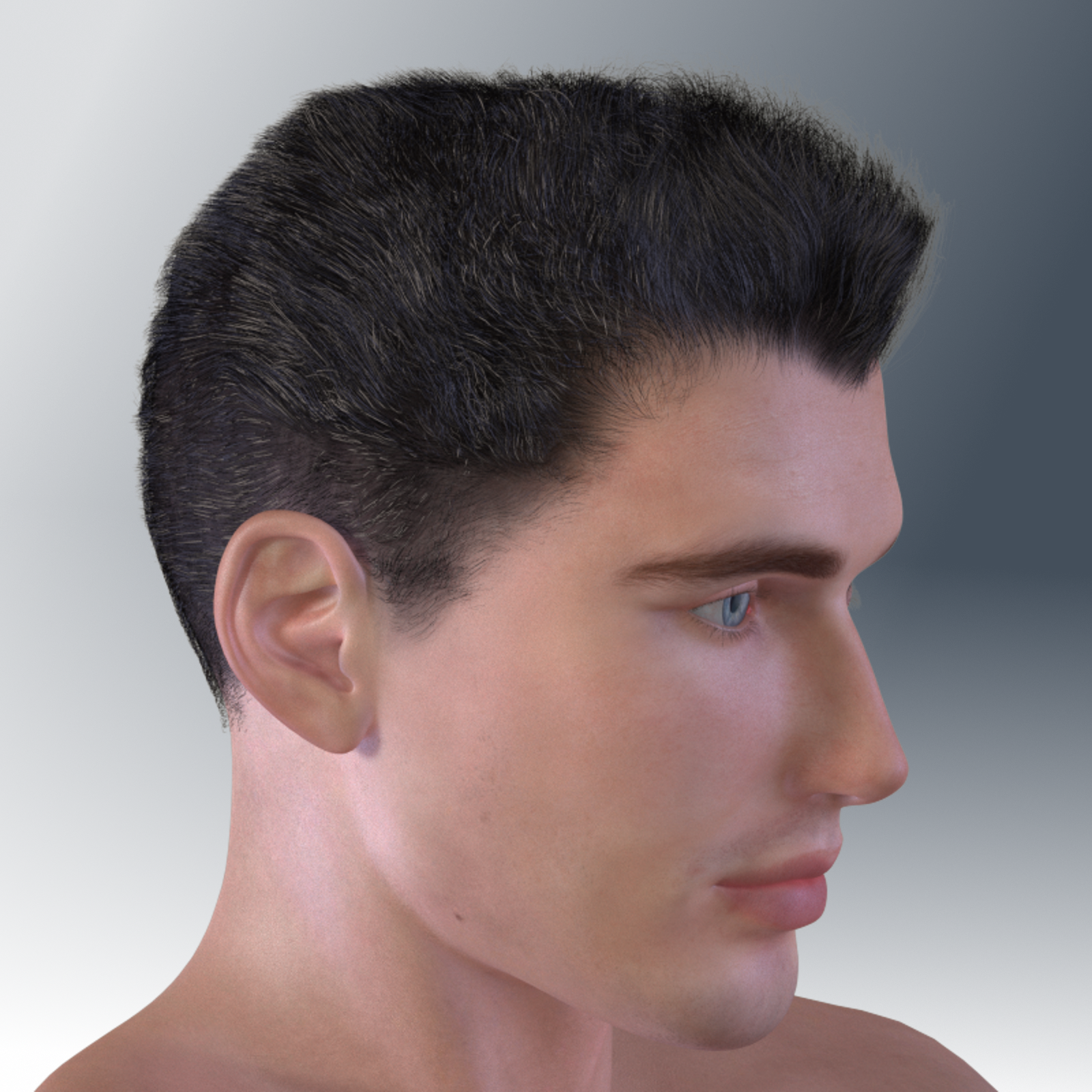 The Business Hair for Dawn and Dusk -Daz Studio Edition by N/A