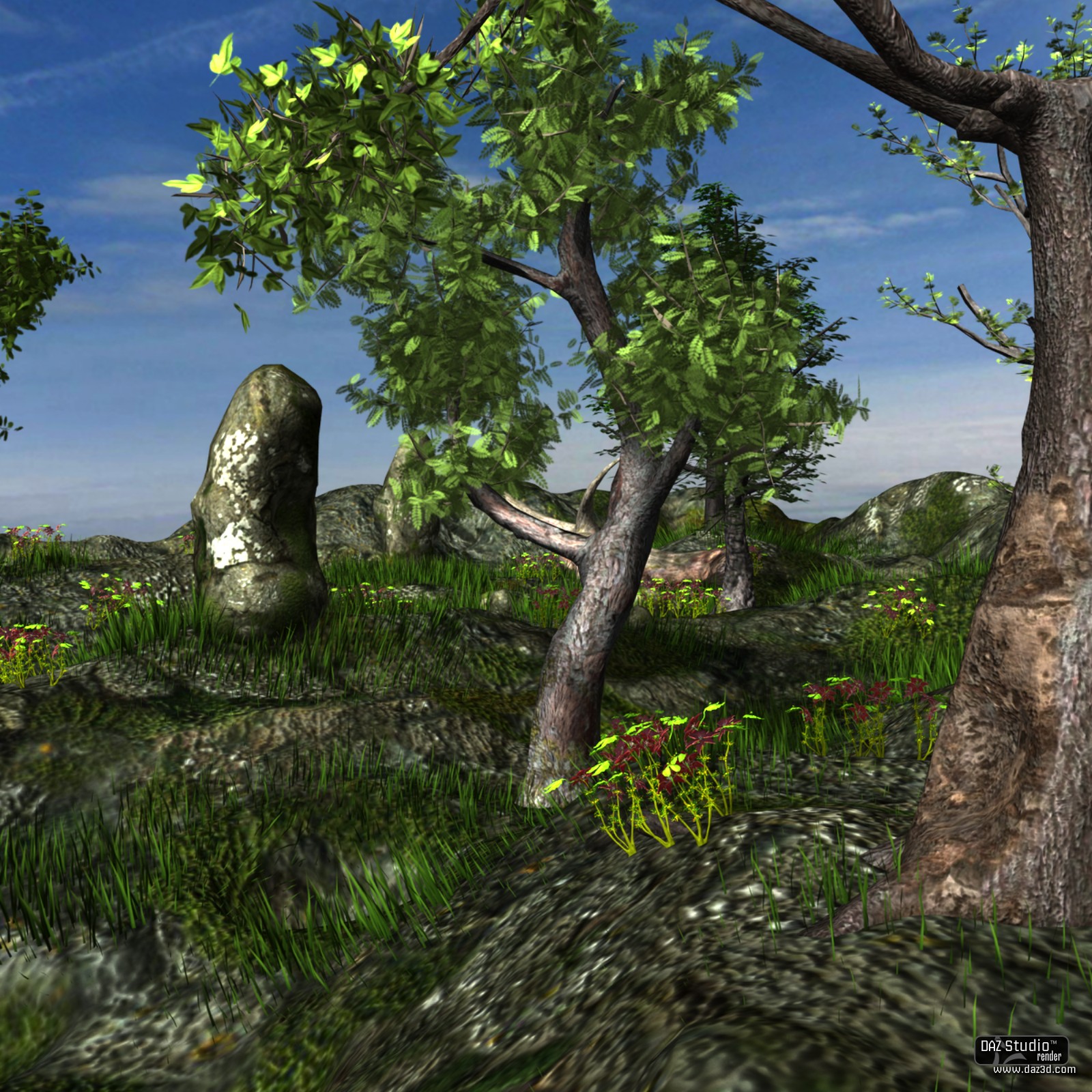 The Rock Land by N/A