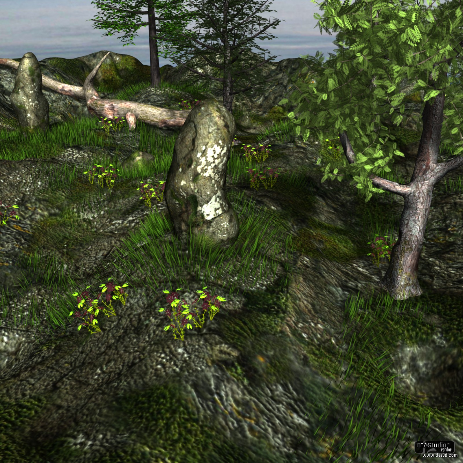 The Rock Land by N/A