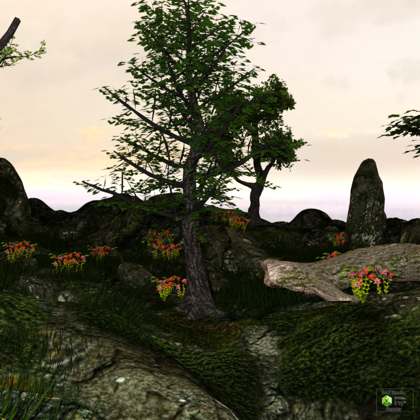 The Rock Land by N/A