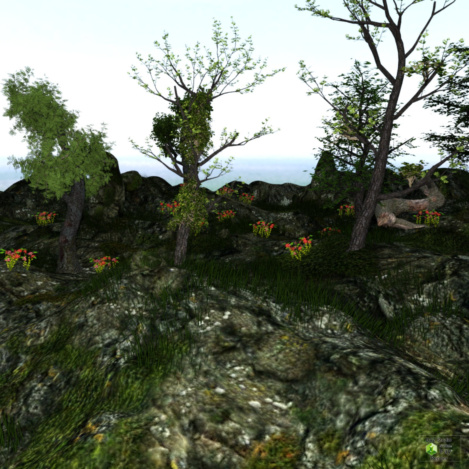 The Rock Land by N/A