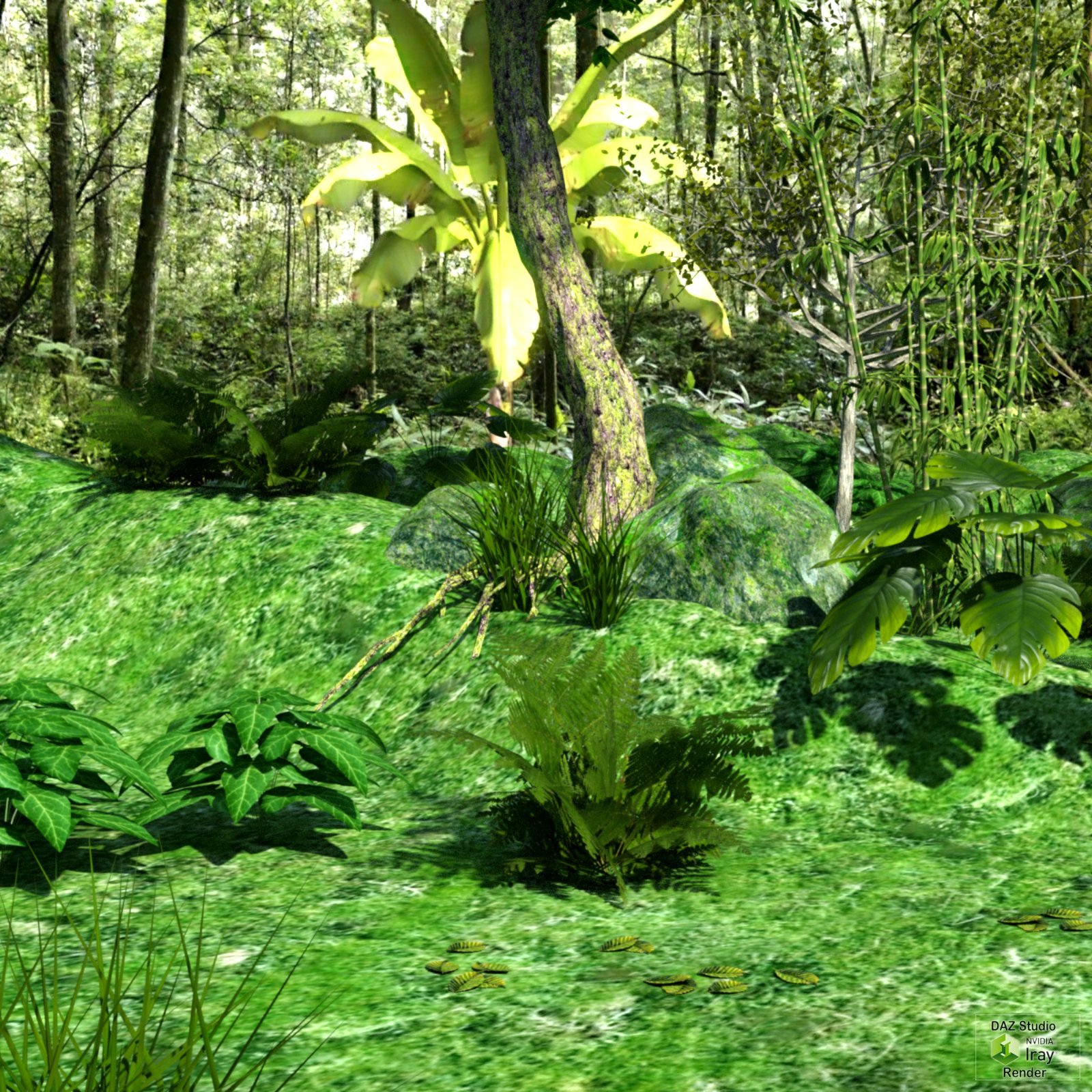 Tropical place by N/A