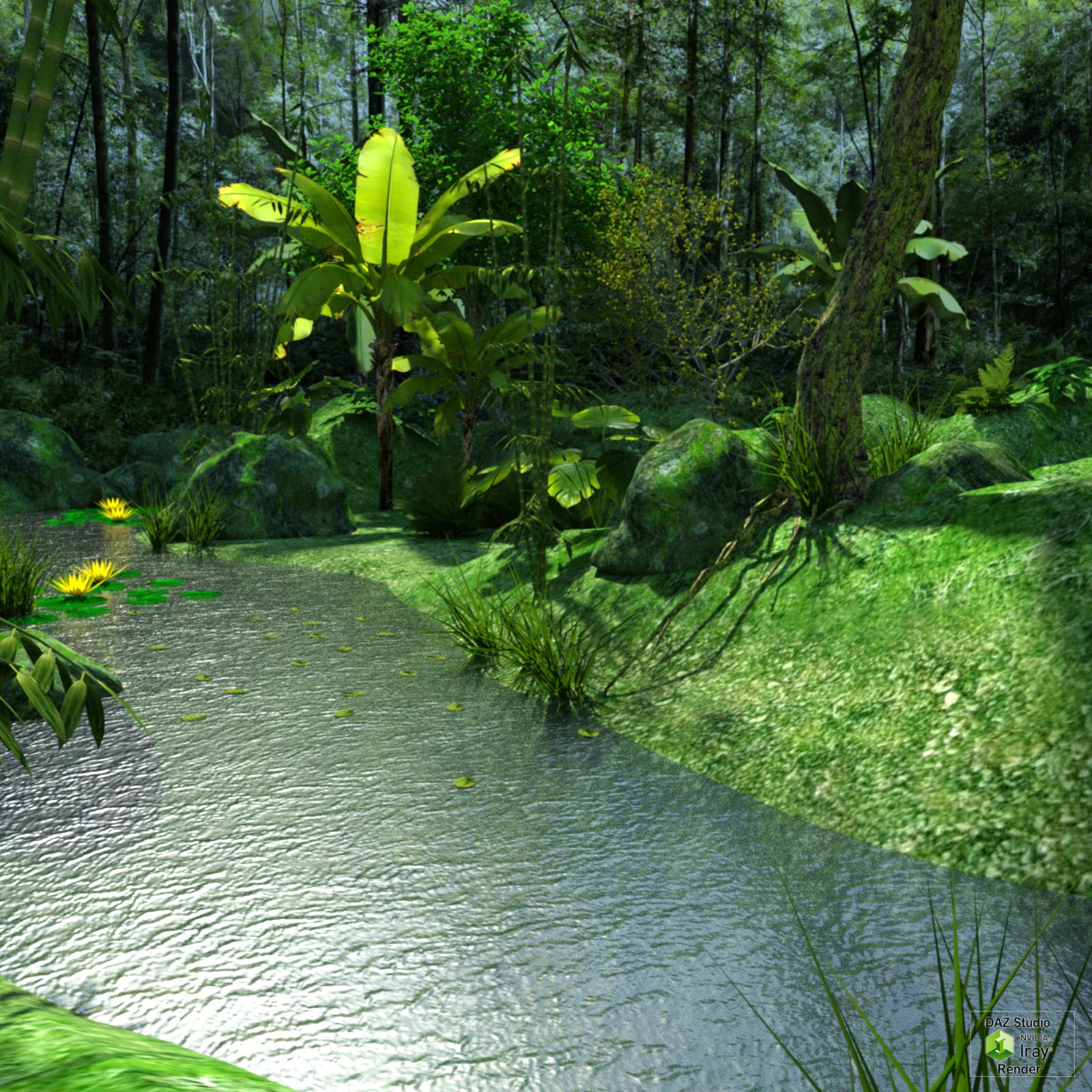 Tropical place by N/A
