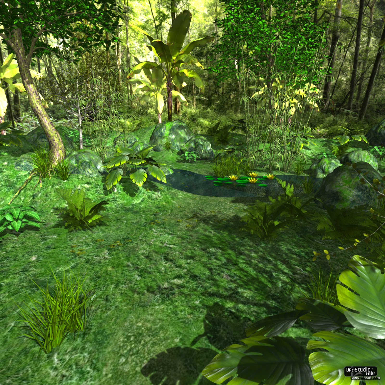 Tropical place by N/A