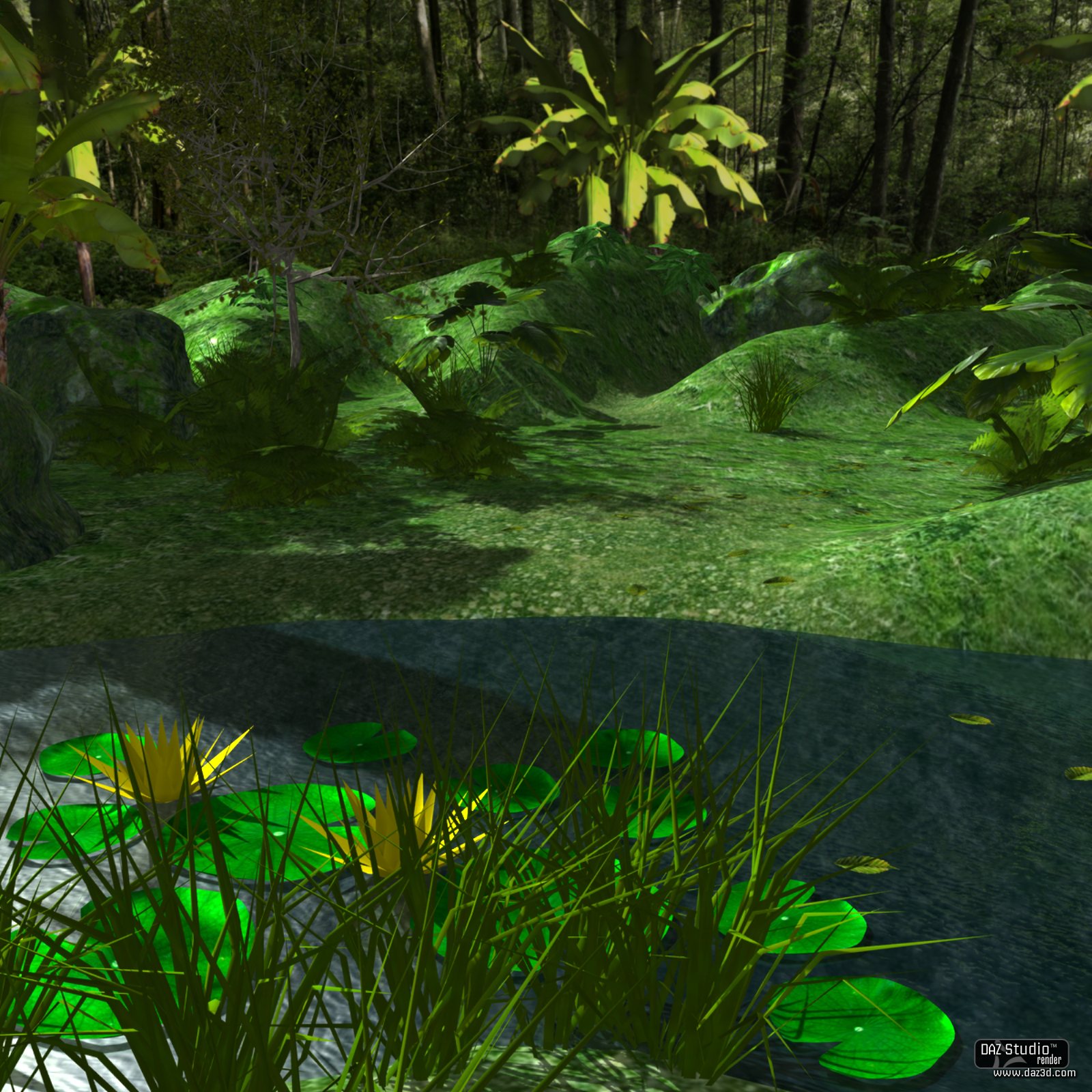 Tropical place by N/A