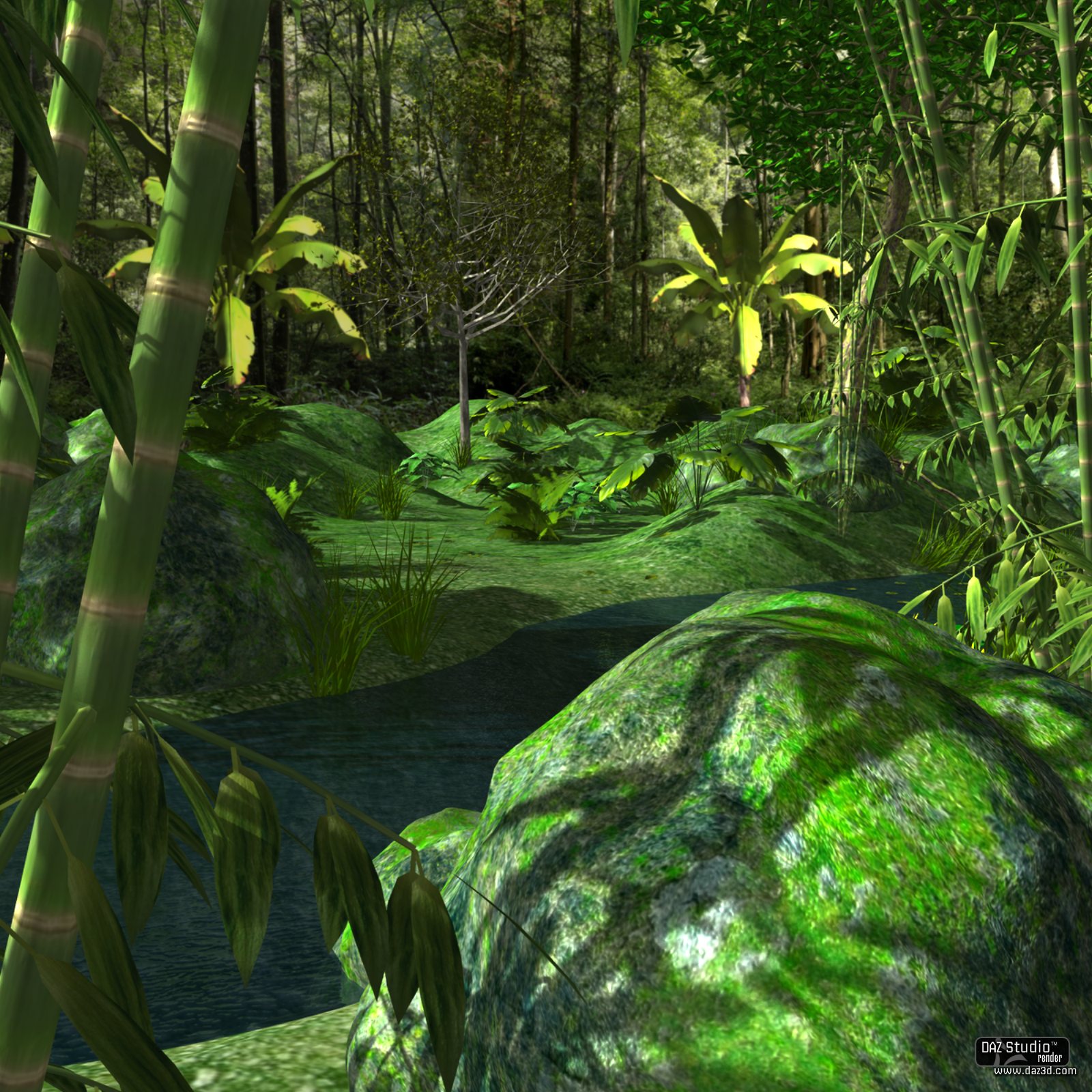 Tropical place by N/A