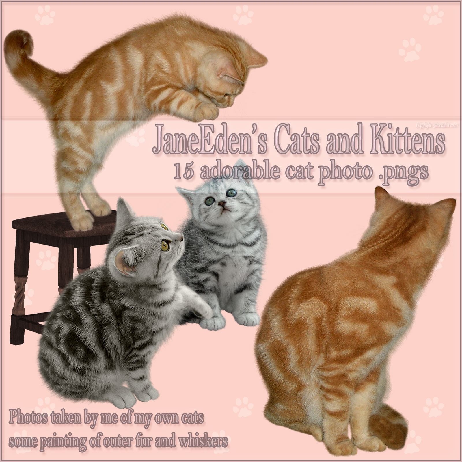 JaneEden's Cats and Kittens by N/A