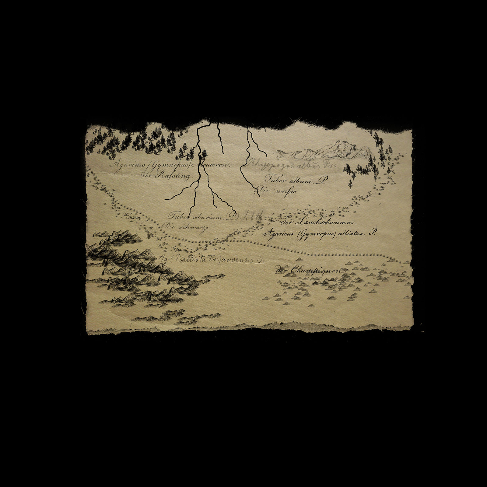 Hand Written Names by N/A