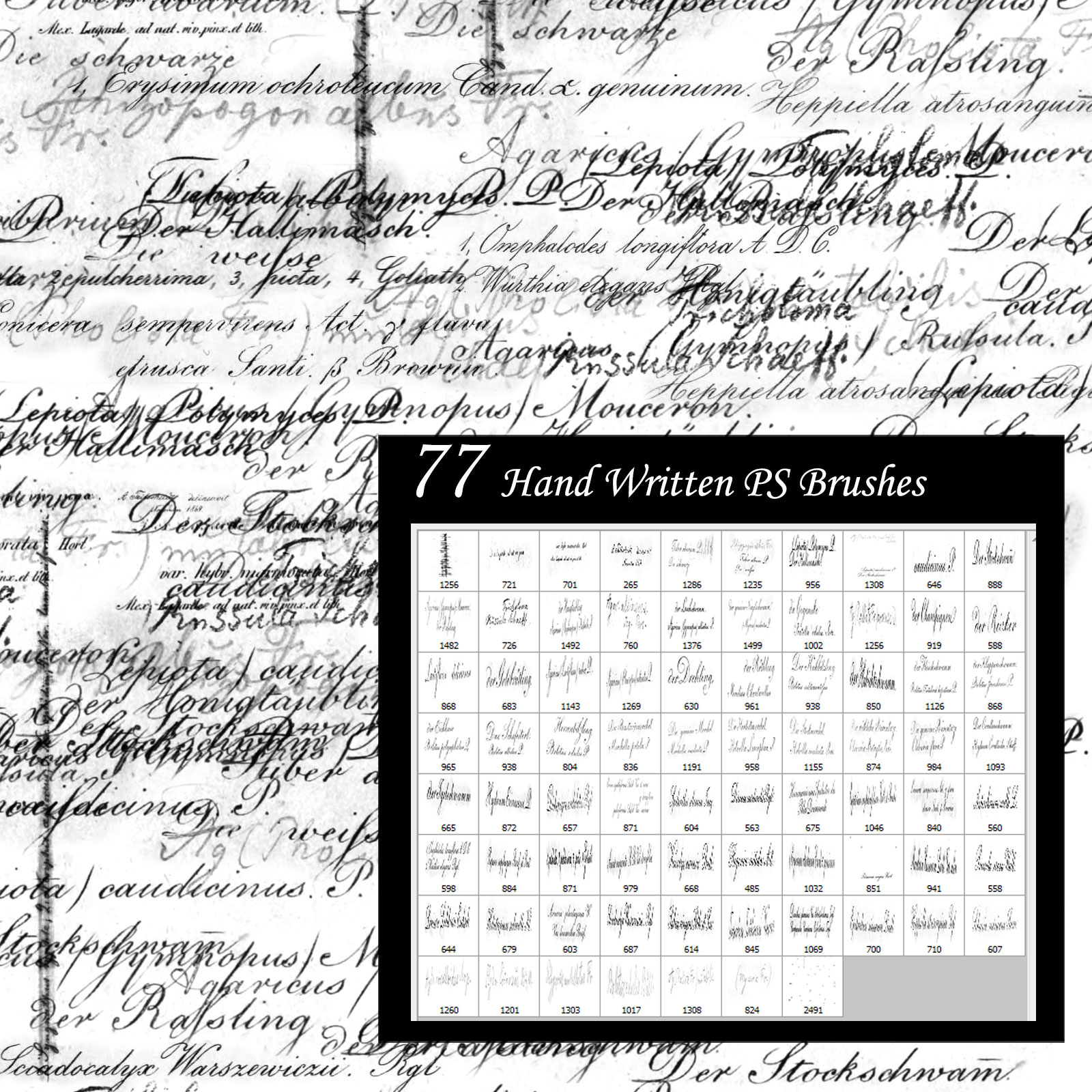 Hand Written Names by N/A