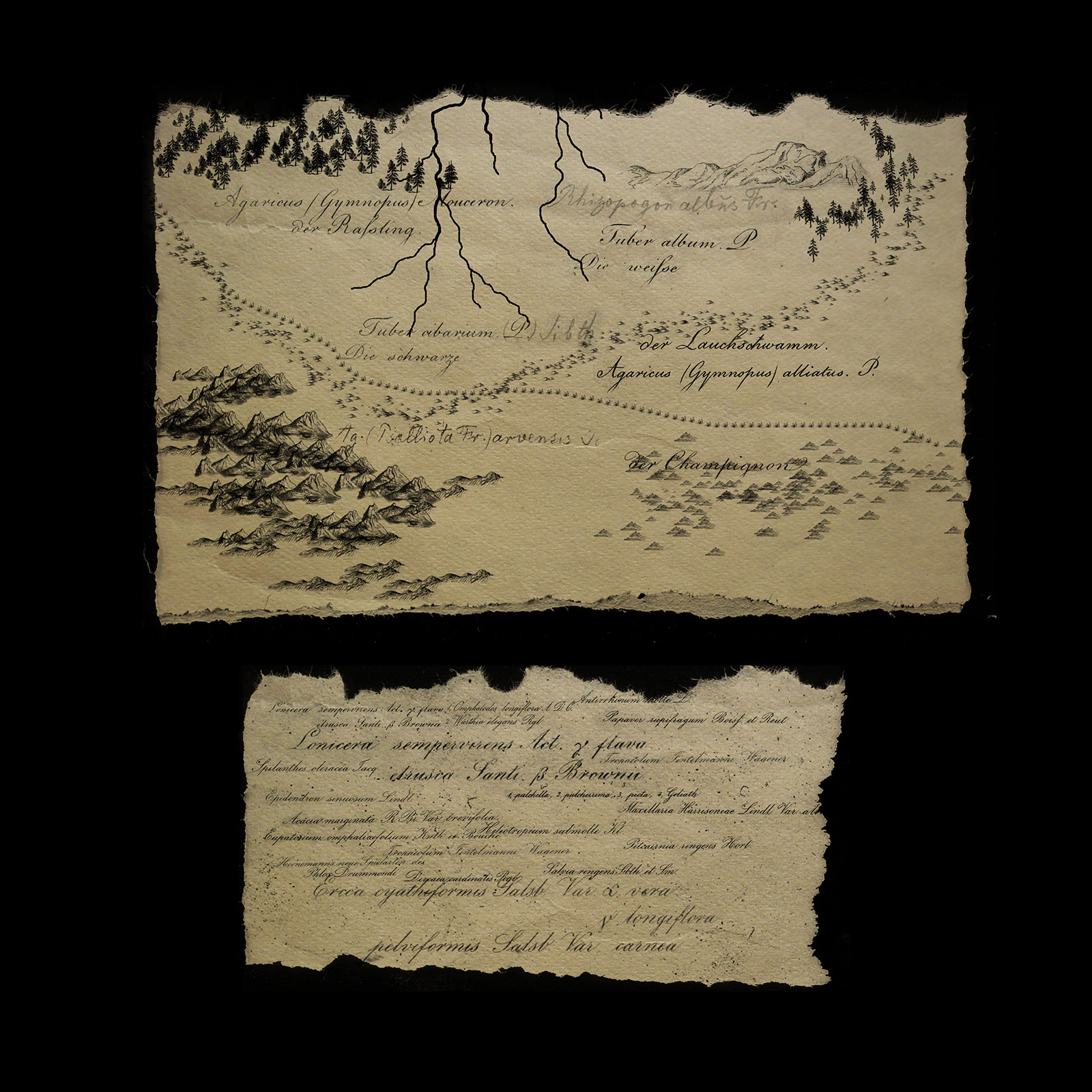 Old Map Base by N/A