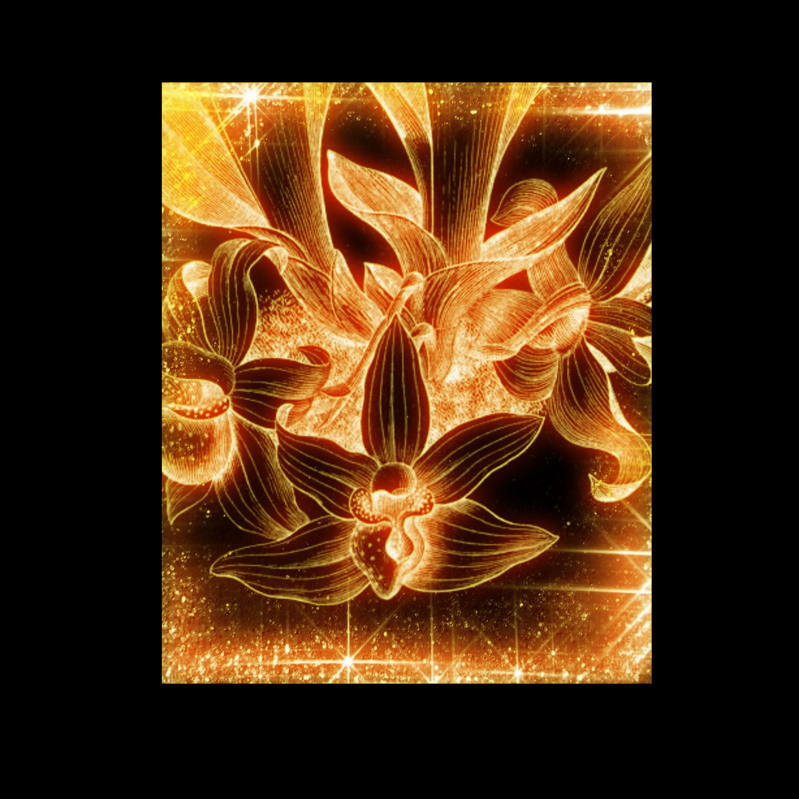 Orchids from Old Books PS Brushes by N/A