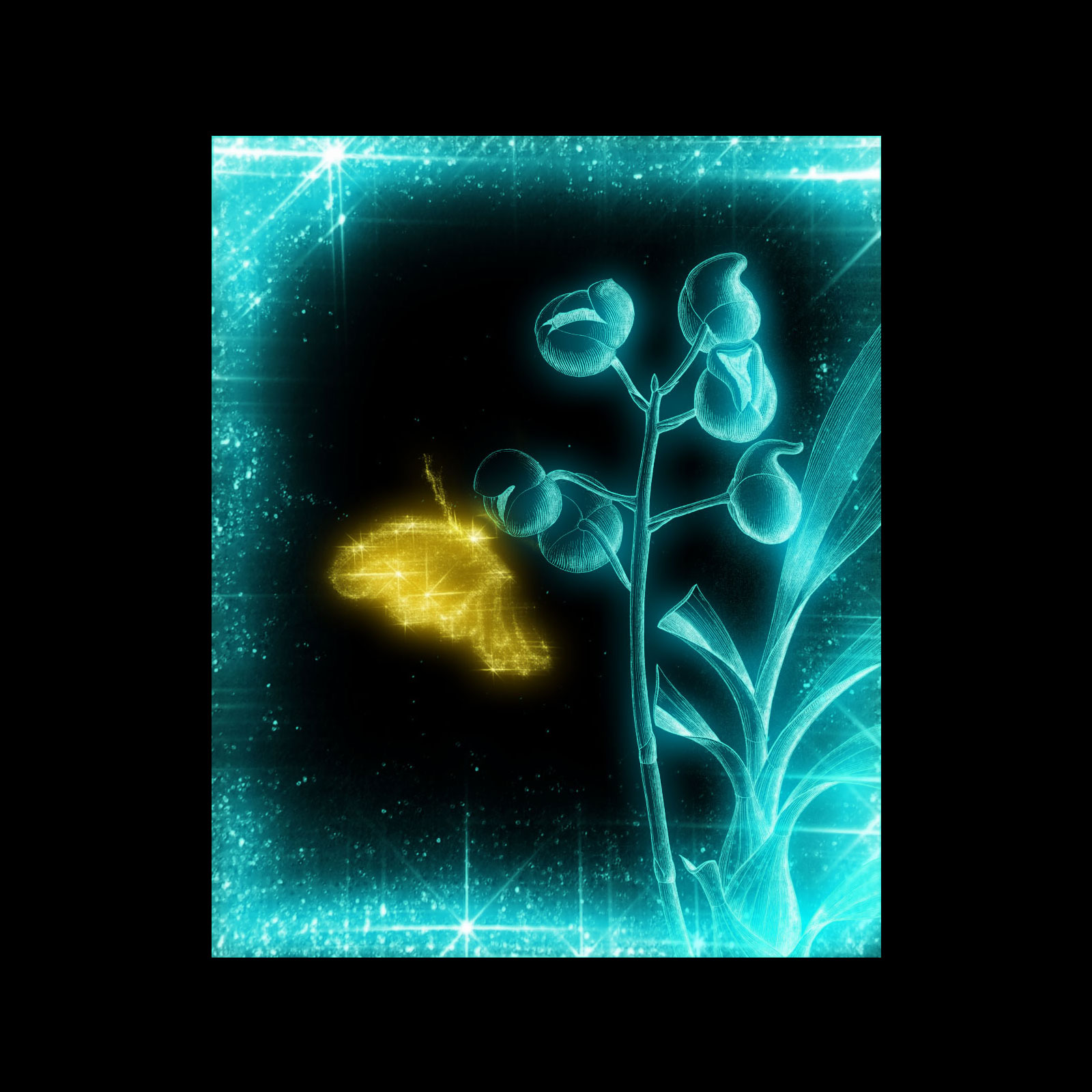 Orchids from Old Books PS Brushes by N/A