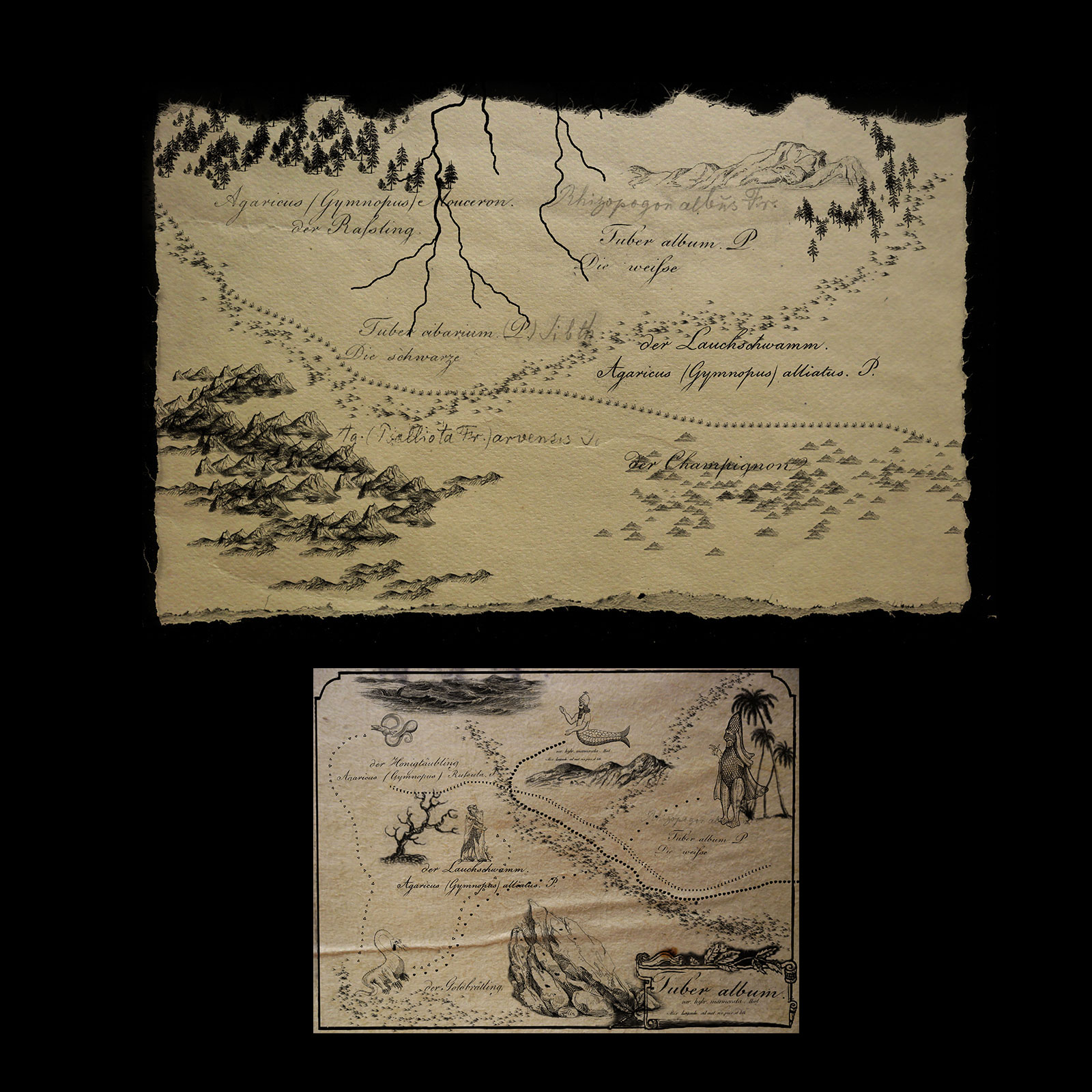 Old Map Routes and Landscapes PS Brushes by N/A