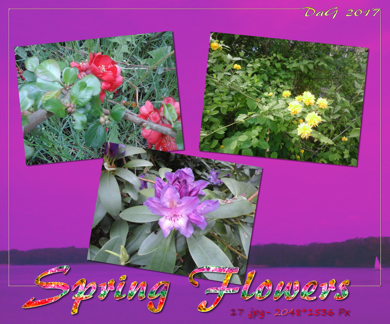 DA-SpringFlowers by N/A