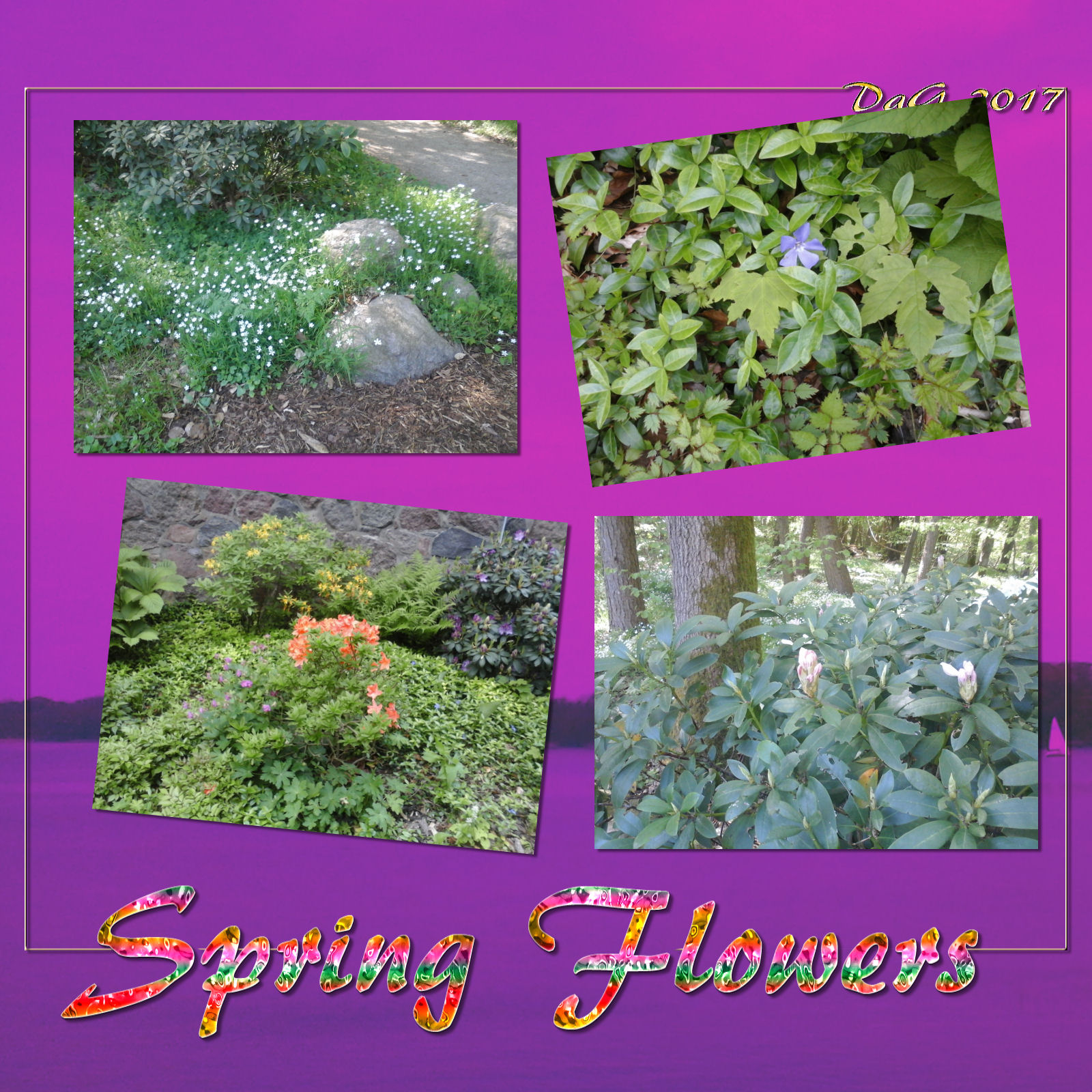 DA-SpringFlowers by N/A
