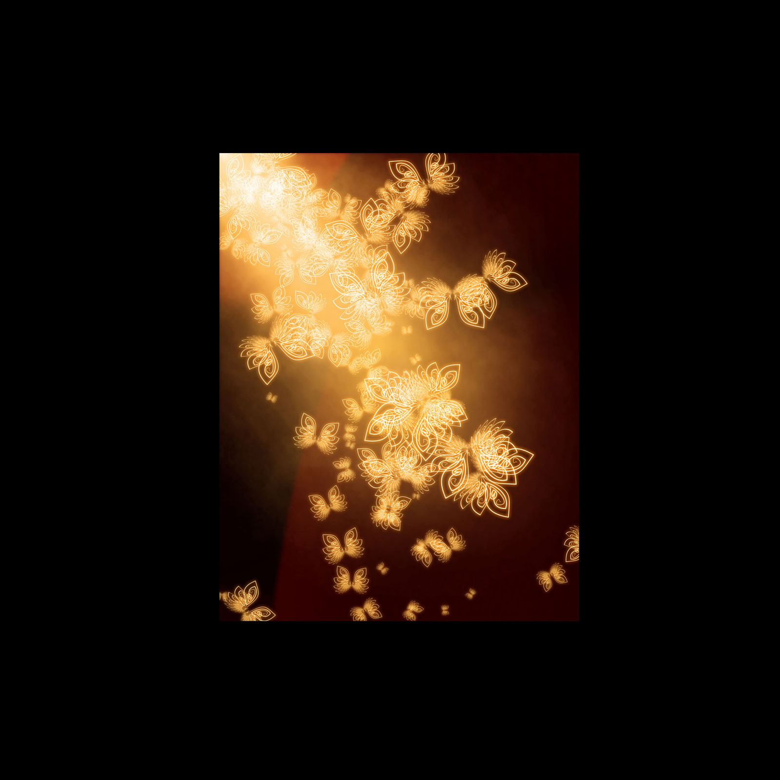 Decorative Elements PS Brushes by N/A