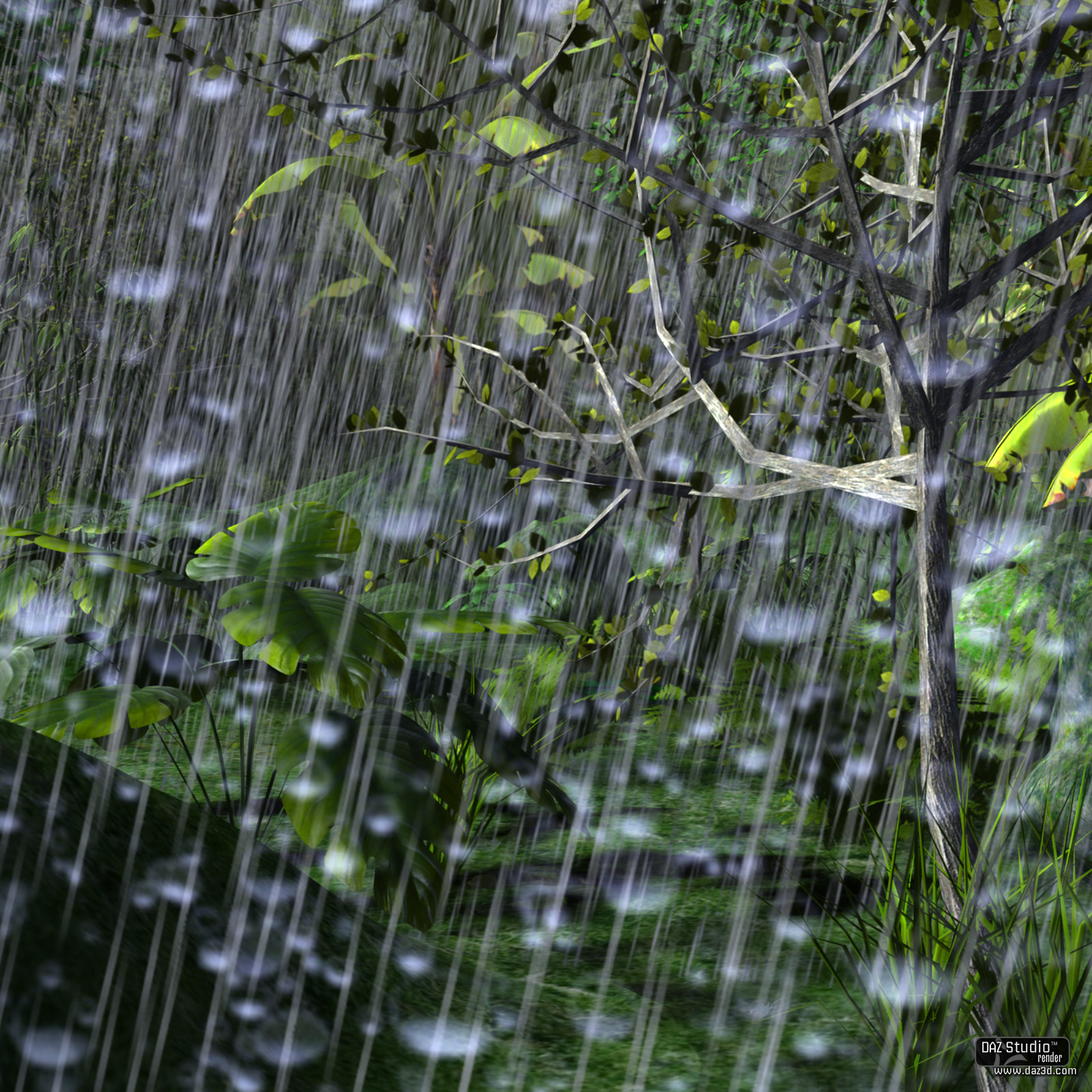 Real Rain Effects DAZ by N/A