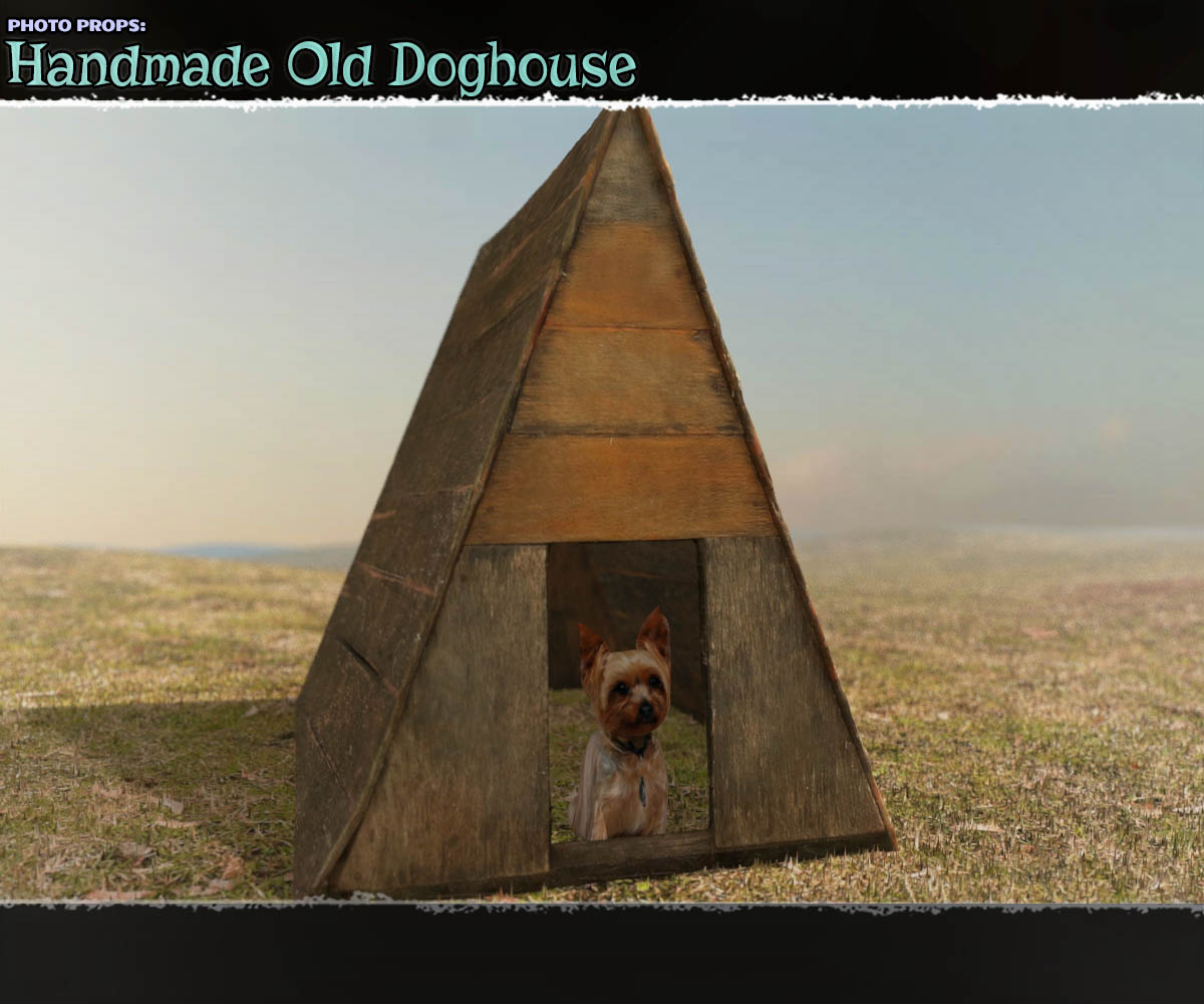 Photo Props: Handmade Old Doghouse by N/A