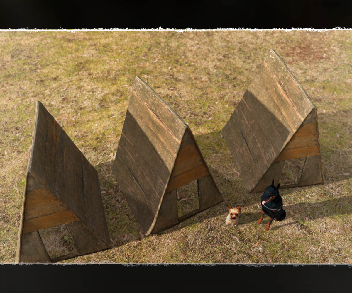 Photo Props: Handmade Old Doghouse by N/A
