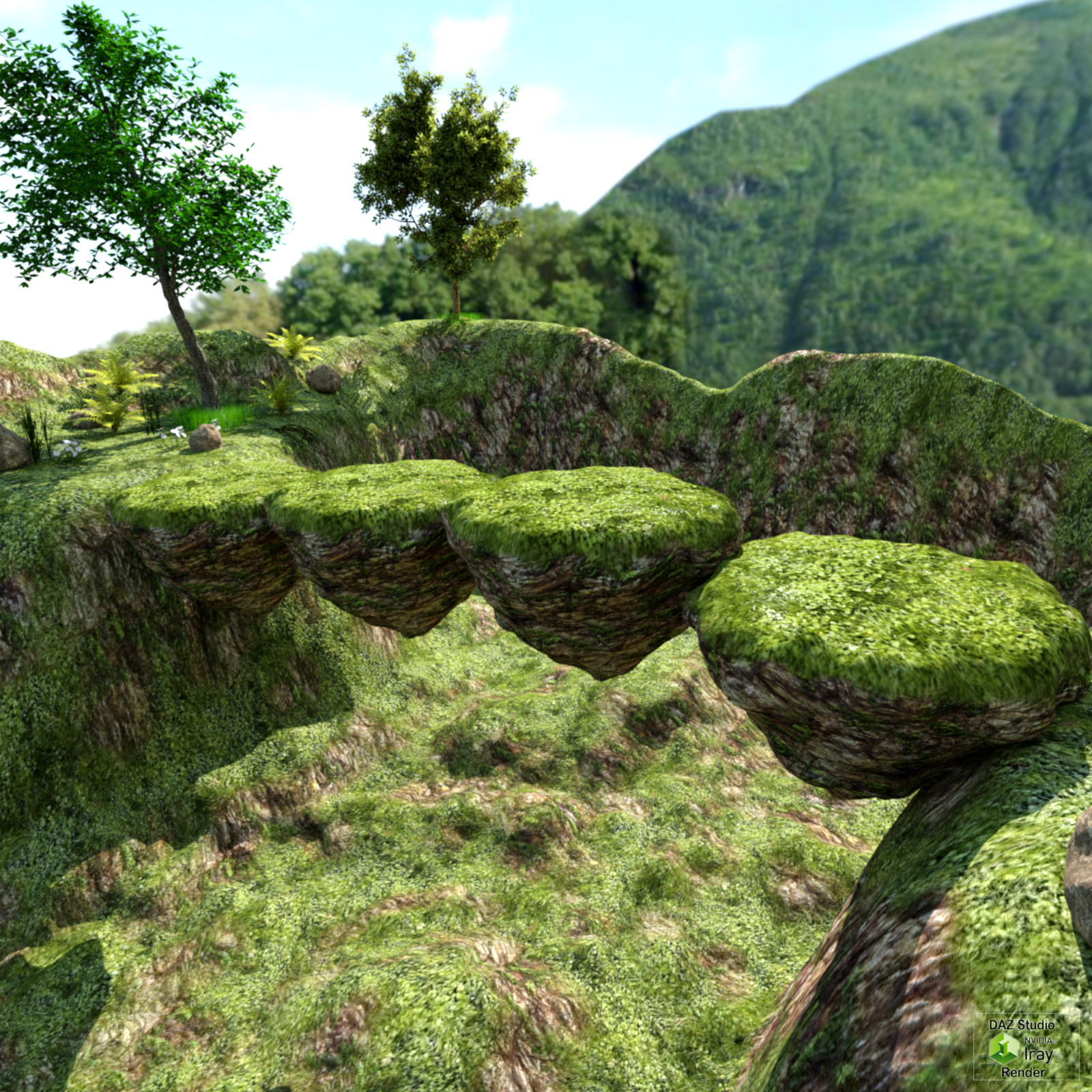 The Rock Bridge by N/A