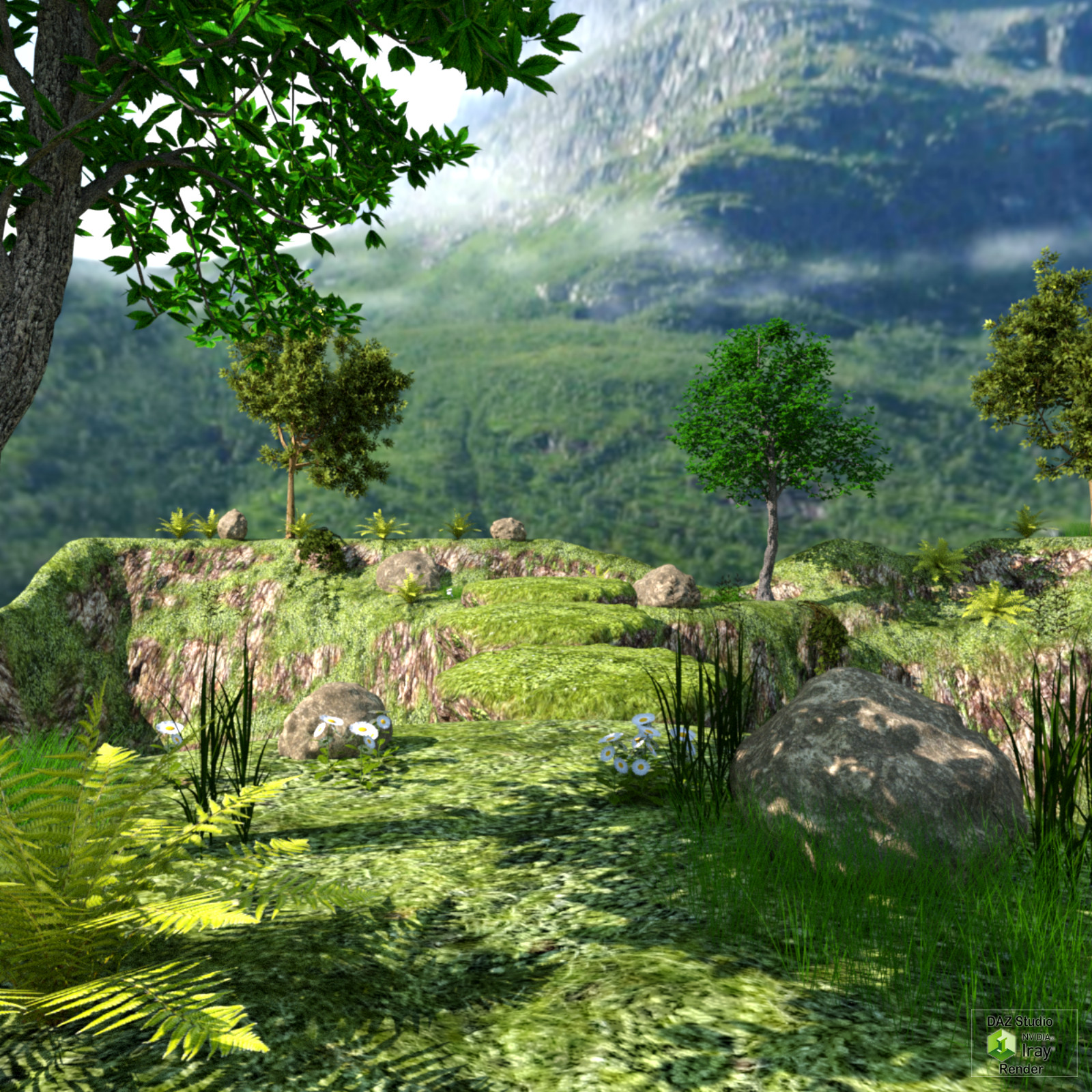 The Rock Bridge by N/A