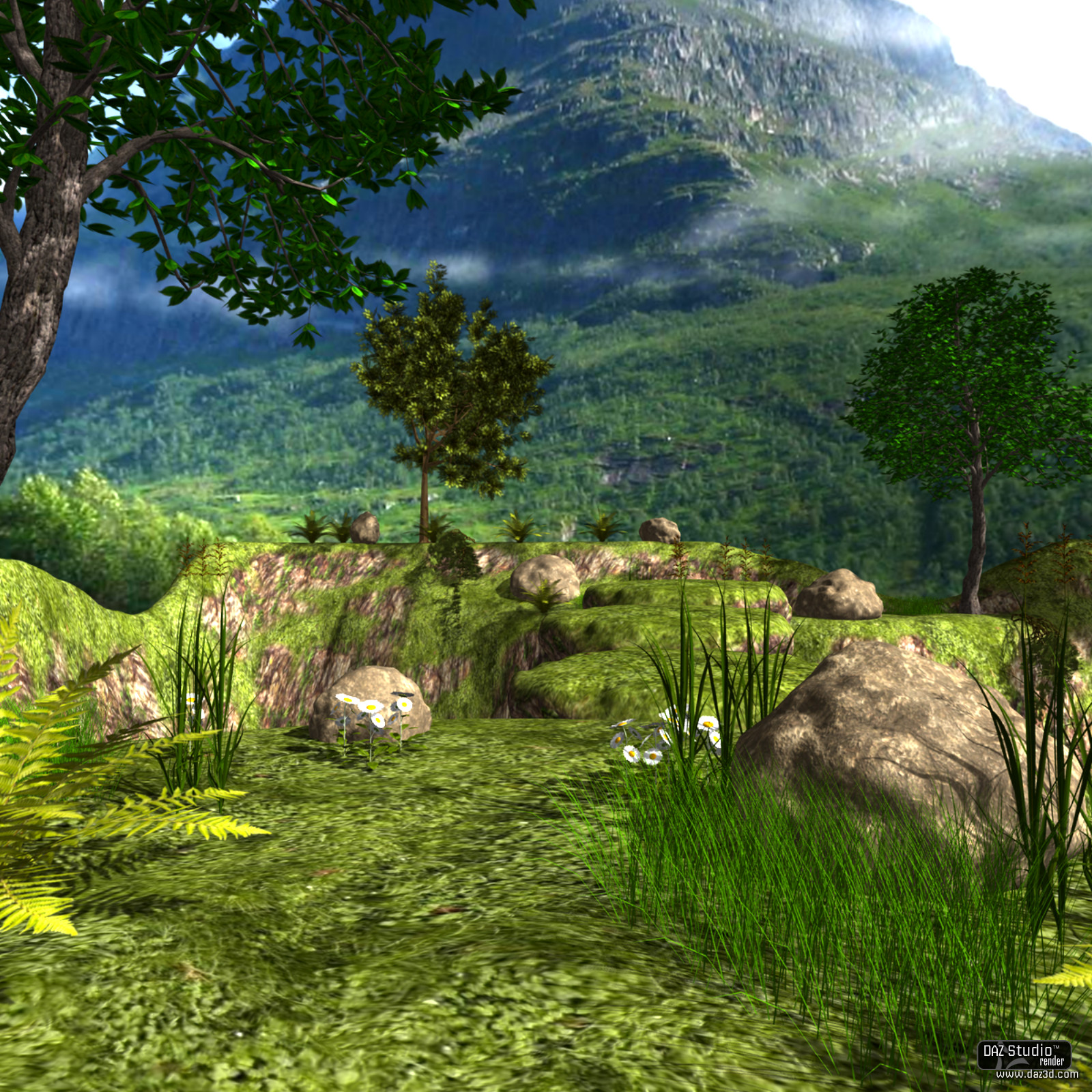 The Rock Bridge by N/A