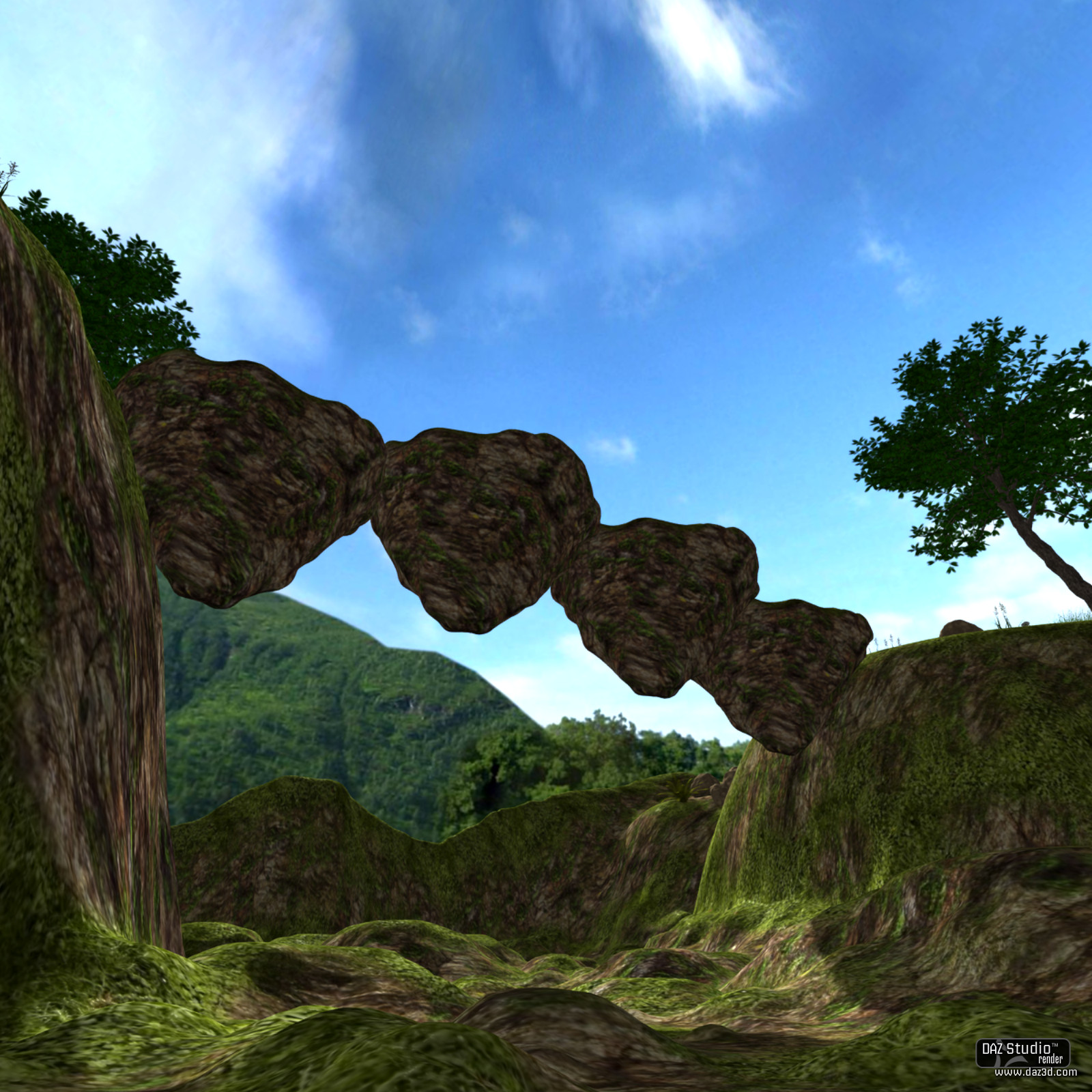 The Rock Bridge by N/A