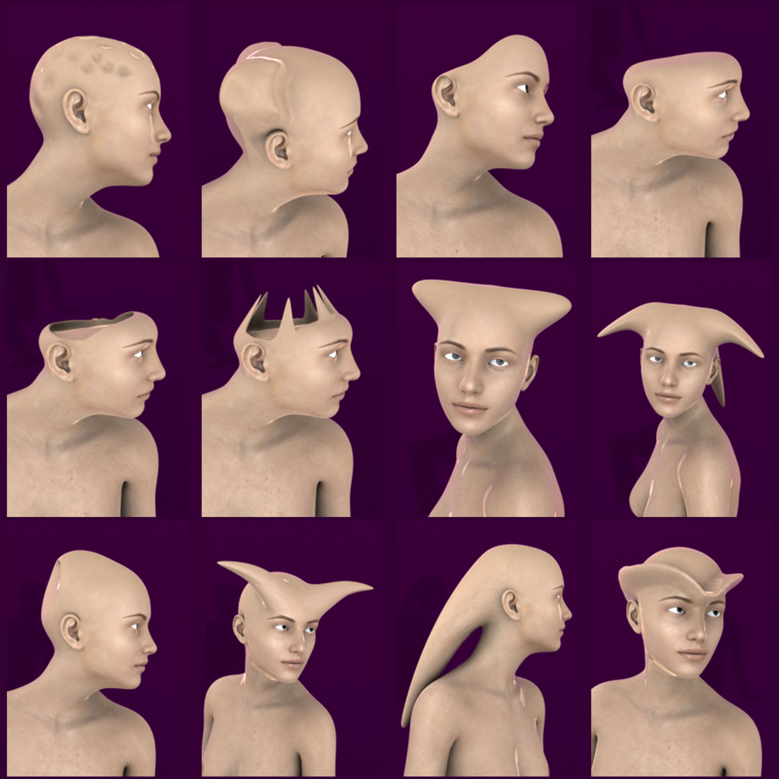 Head Morphs For Genesis 8 Female by N/A