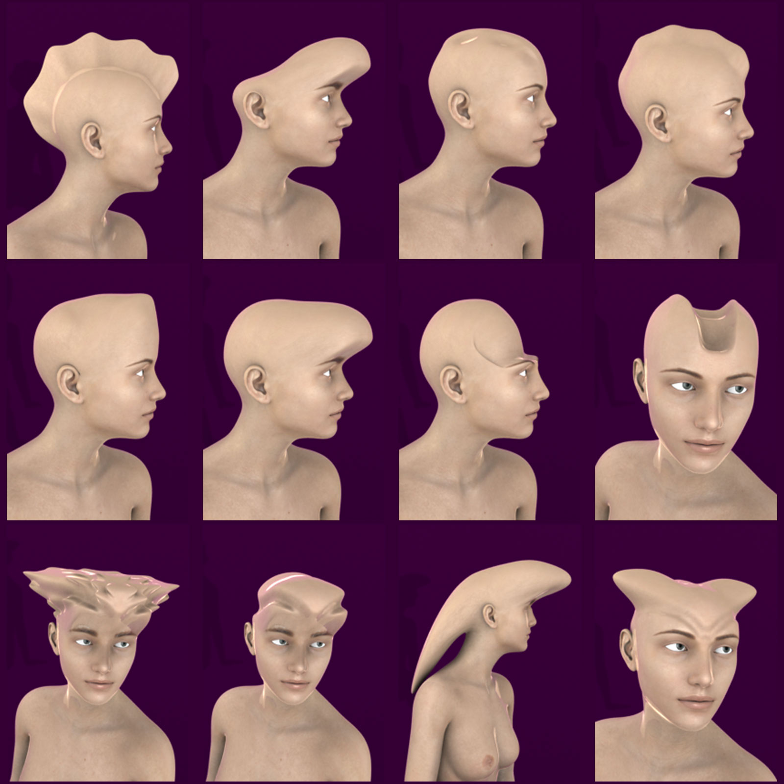 Head Morphs For Genesis 8 Female by N/A