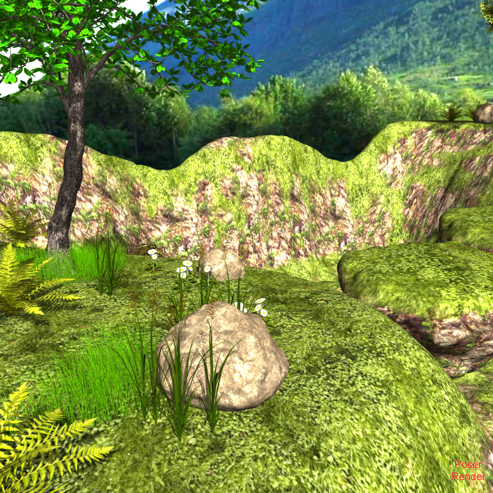 The Rock Bridge Poser by N/A