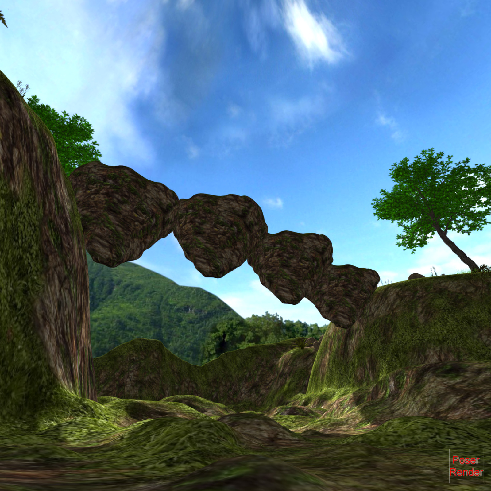 The Rock Bridge Poser by N/A