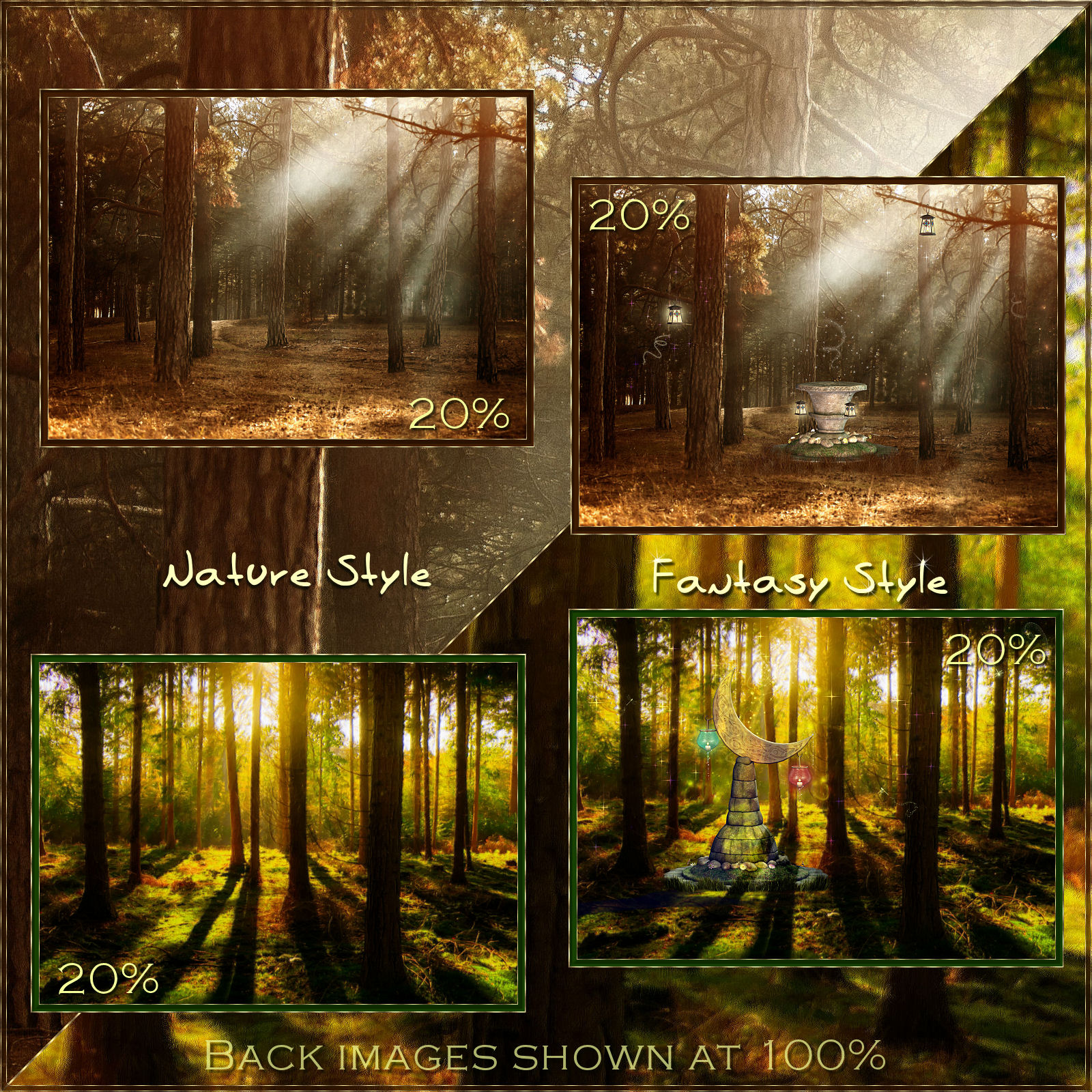 Once upon a Forest by N/A