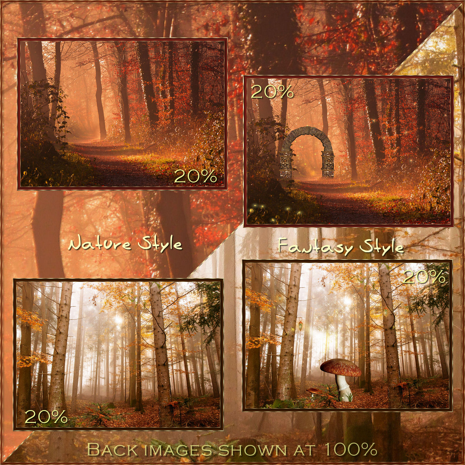 Once upon a Forest by N/A