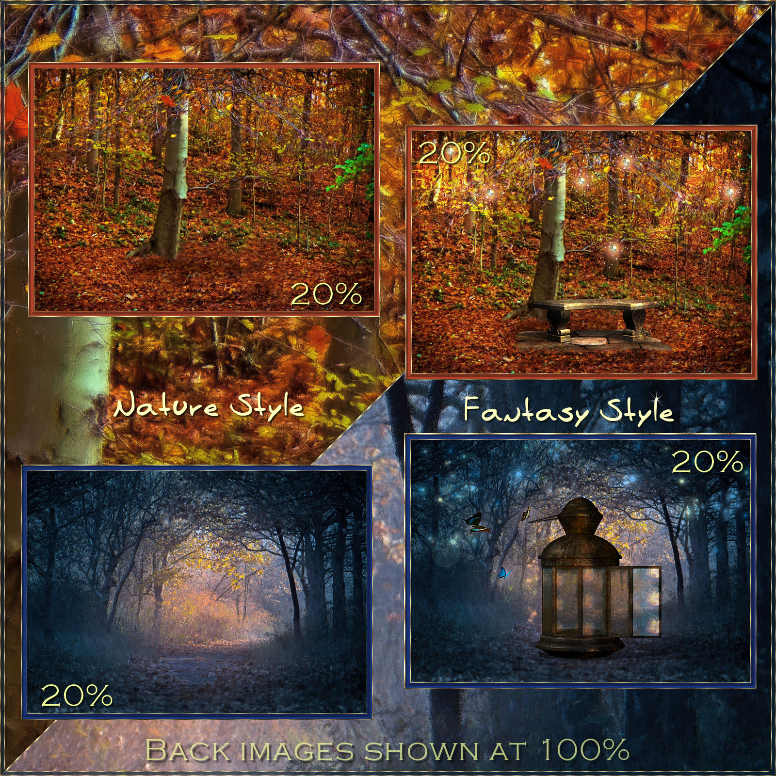 Once upon a Forest by N/A