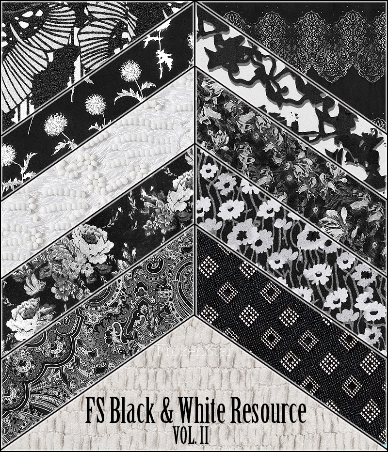 FS Black & White Resource Vol. II by N/A