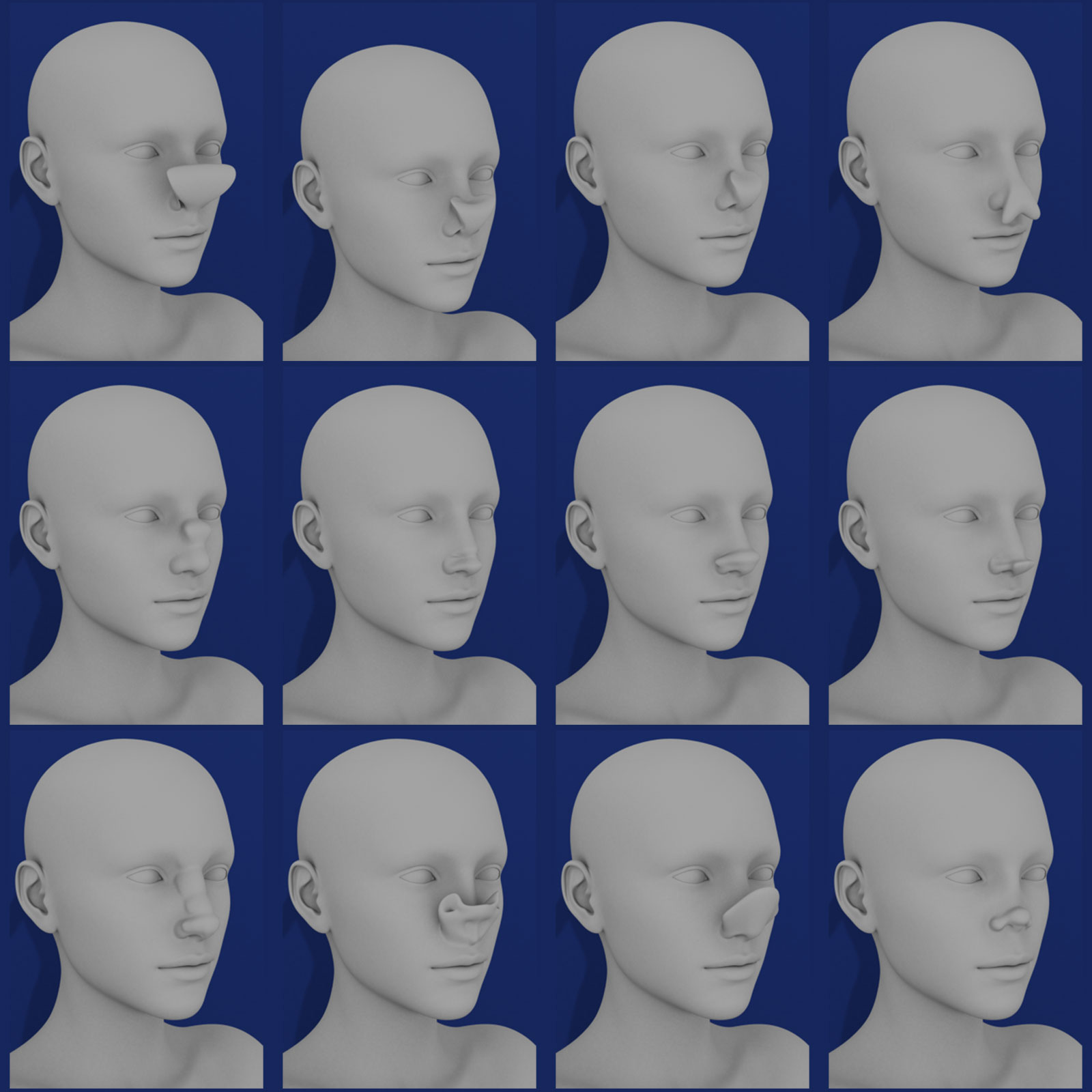 Nose Morphs for Genesis 3 Female by N/A