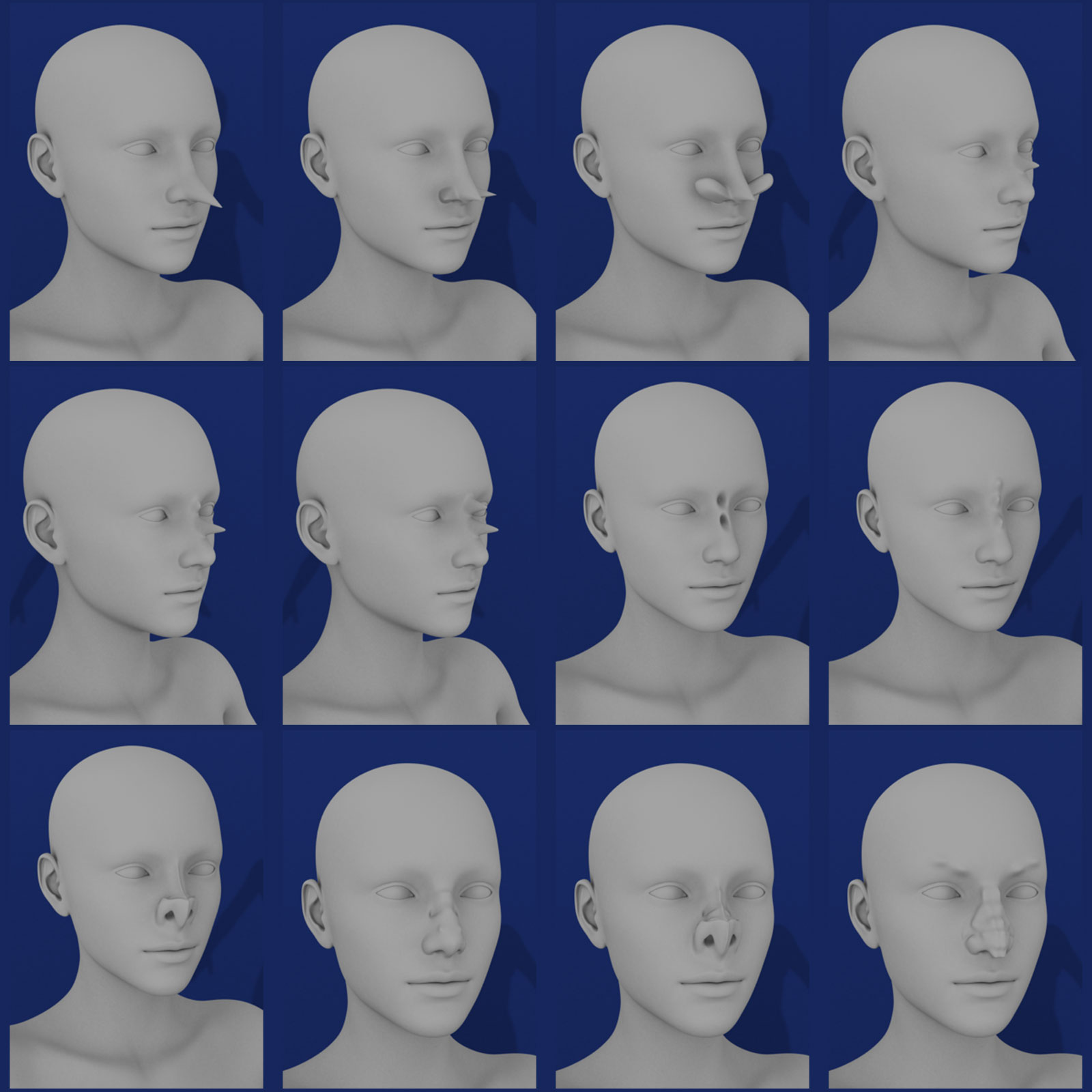 Nose Morphs for Genesis 3 Female by N/A