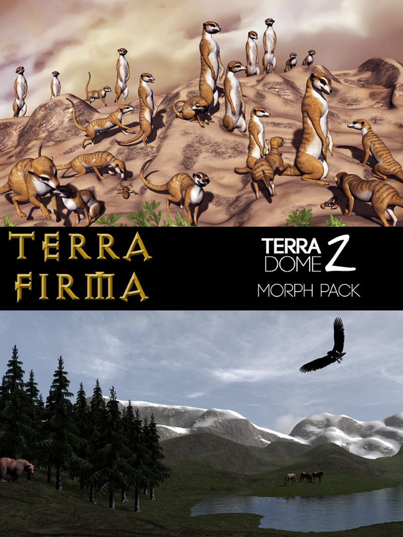 TerraFirma by N/A