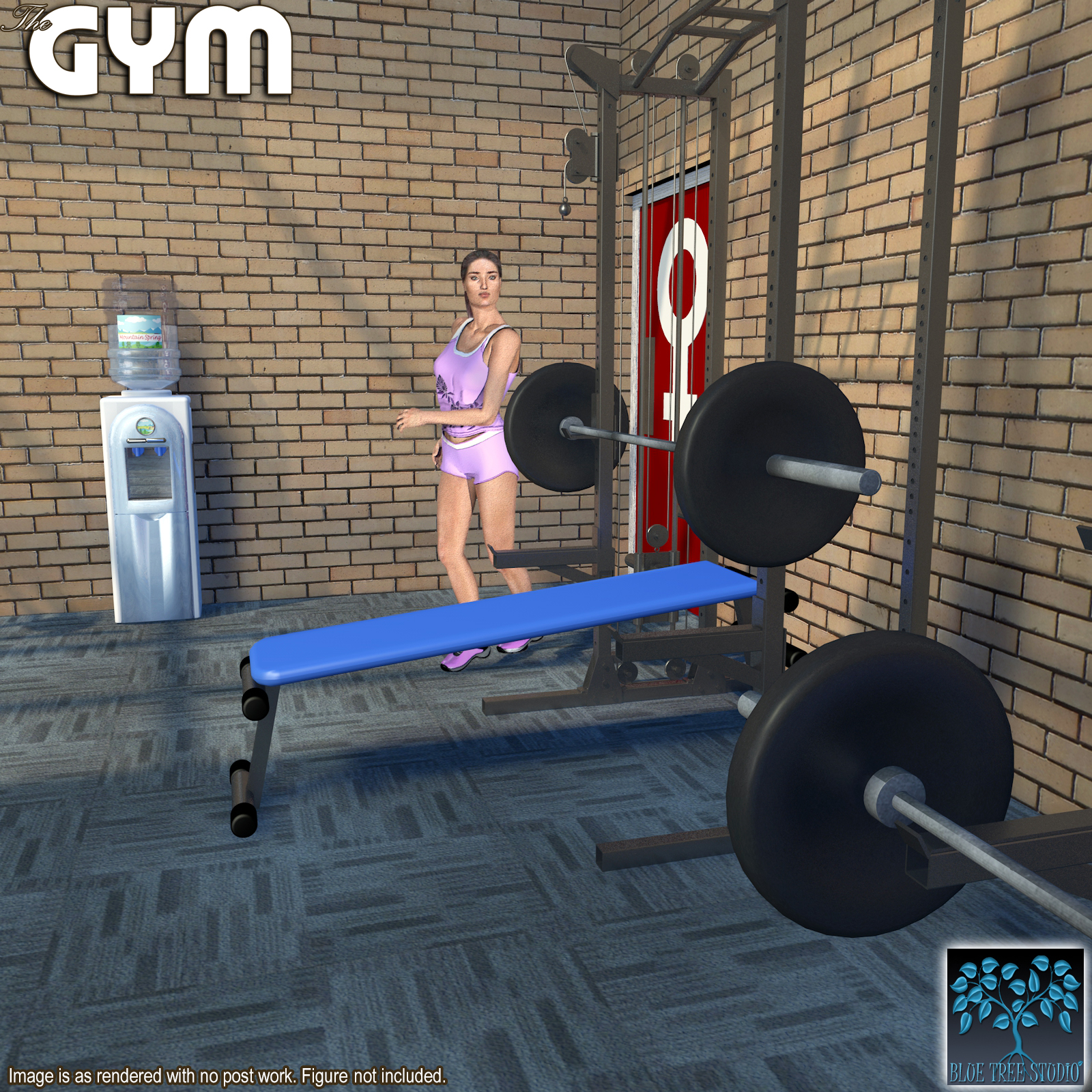 The Gym by N/A